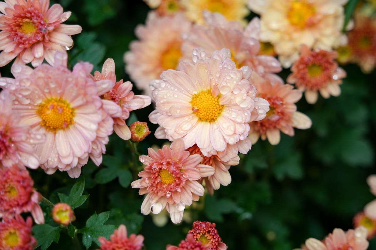 搞定客户催款：6个礼貌又有效的英文催款邮件模板