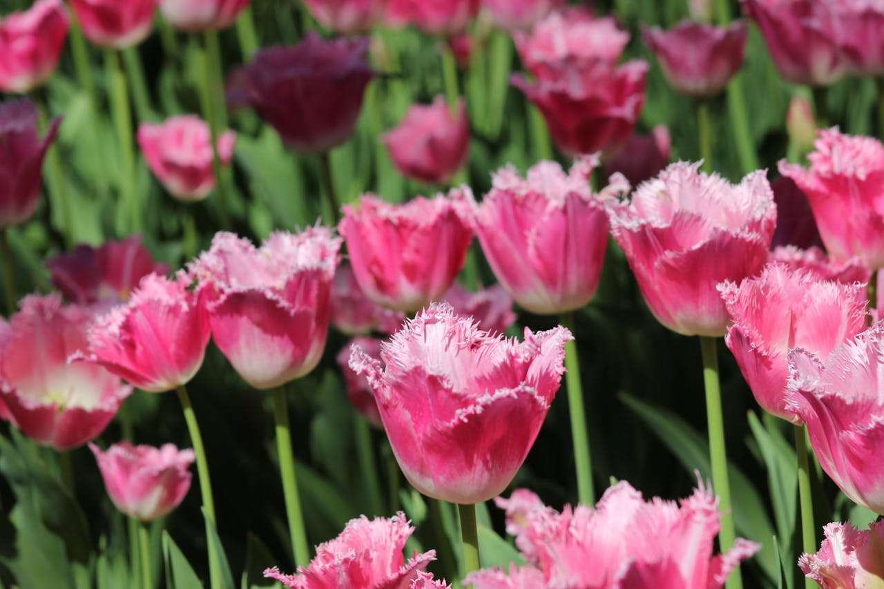 客户迟迟不回复？9个英文跟进邮件模板帮你重启对话