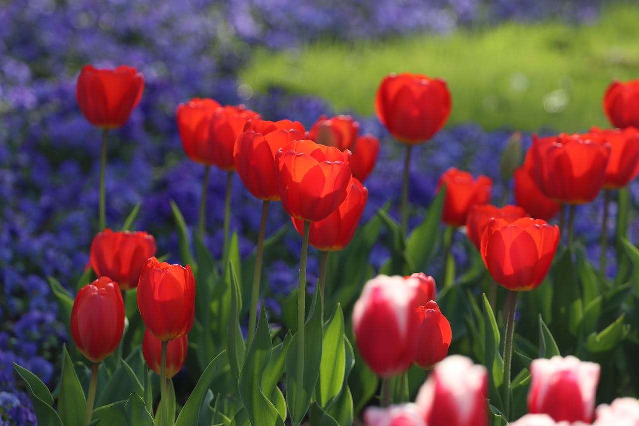 样品寄送全流程：7个英文邮件模板让客户更信任你