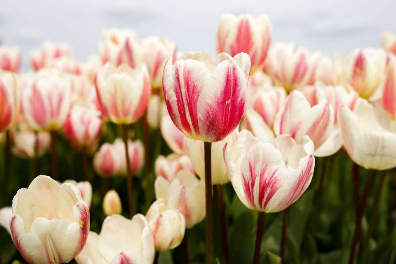 外贸谈判利器：7个英文还价与议价邮件模板，守住利润不被动