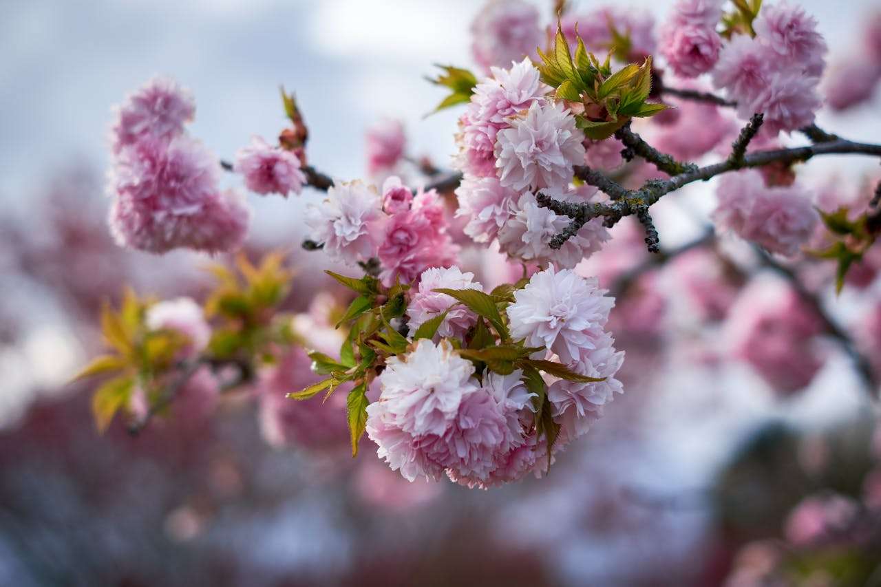 职场晋升利器：7个英文工作汇报邮件模板，展现你的专业力
