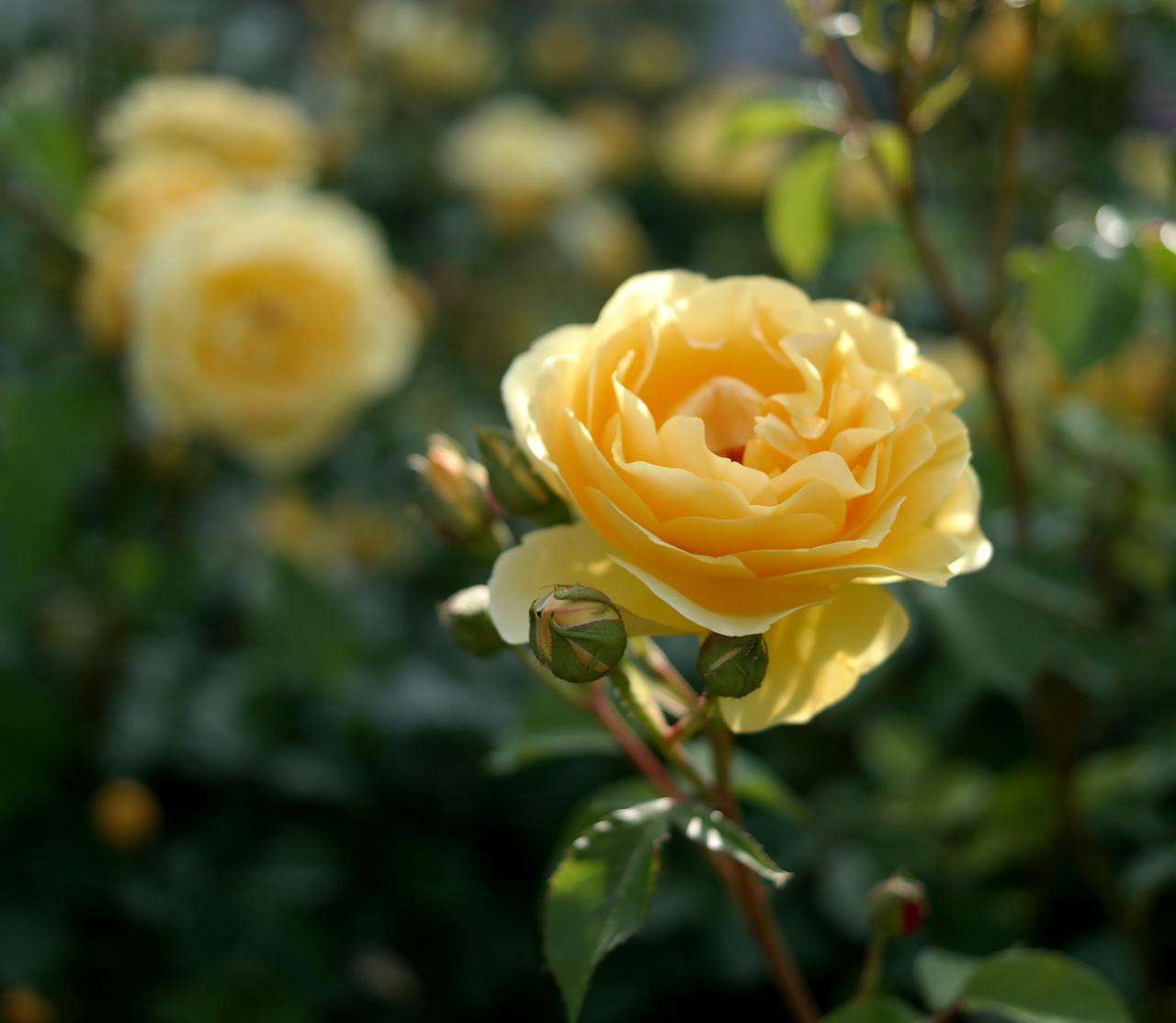 物流沟通无障碍：10个英文物流跟进邮件模板全解析