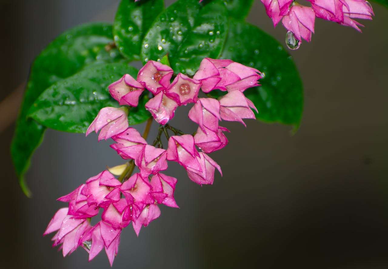 ”我最尊敬的人“英语作文怎么写？3篇英语作文+结构拆解