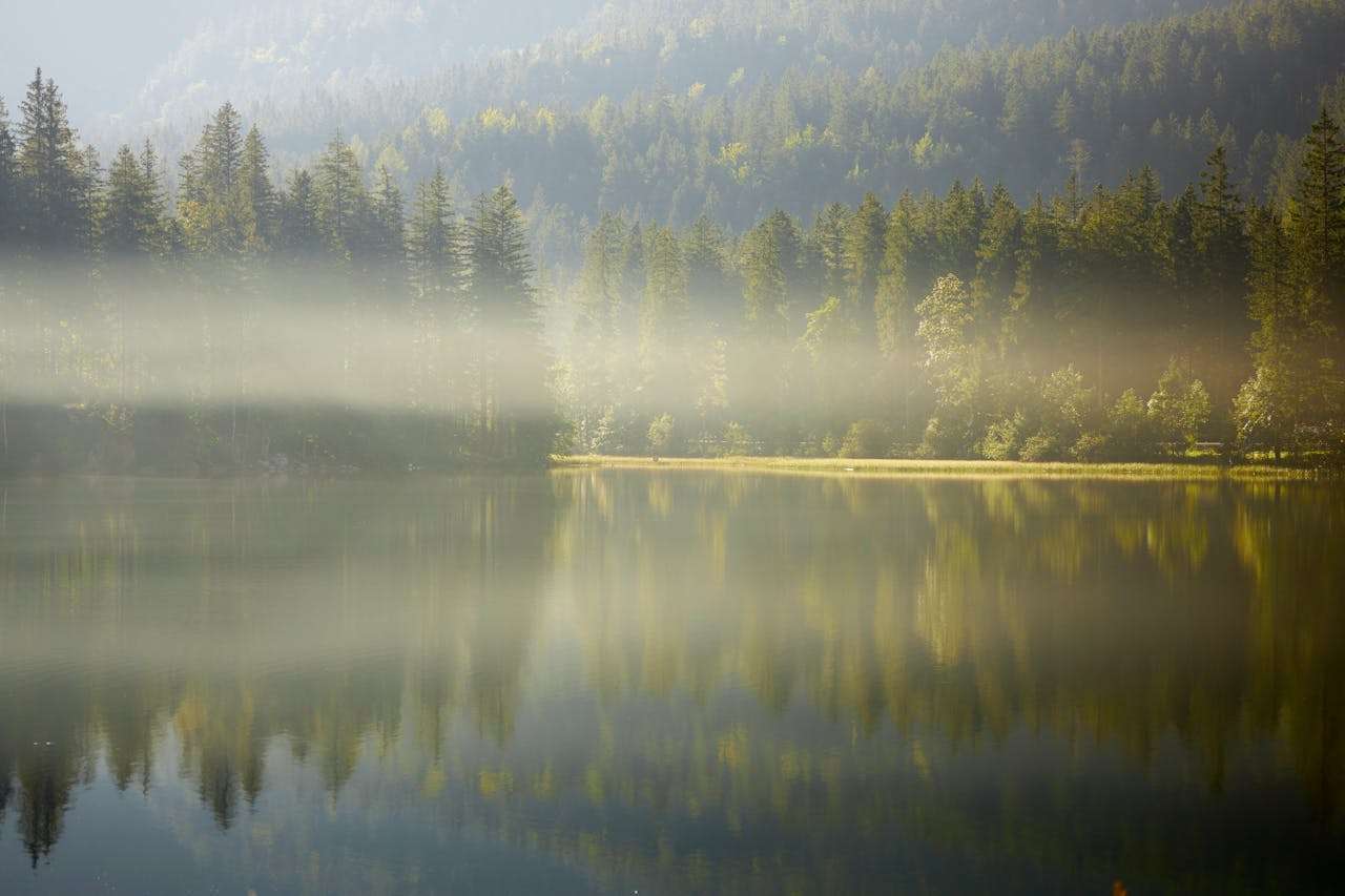 英语美文 | The Morning 每一个清晨，都是一次愉快的邀请
