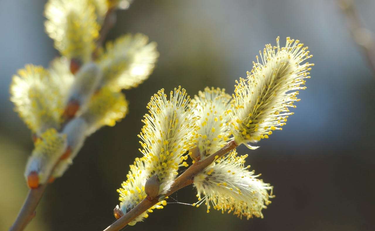 人工智能对教育的影响：大学英语四级作文及翻译