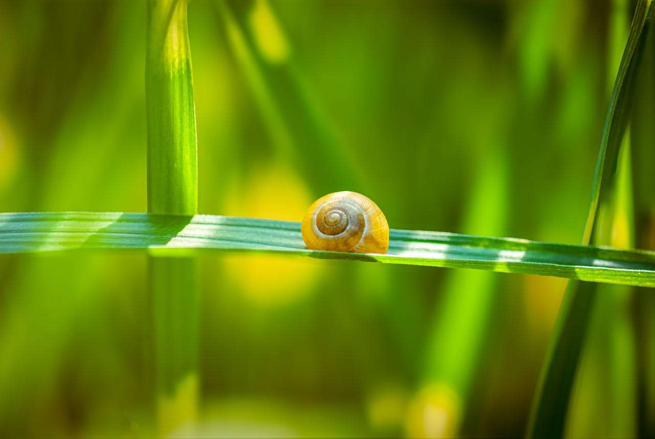 远程学习的利与弊：考研英语作文高分范文+精析