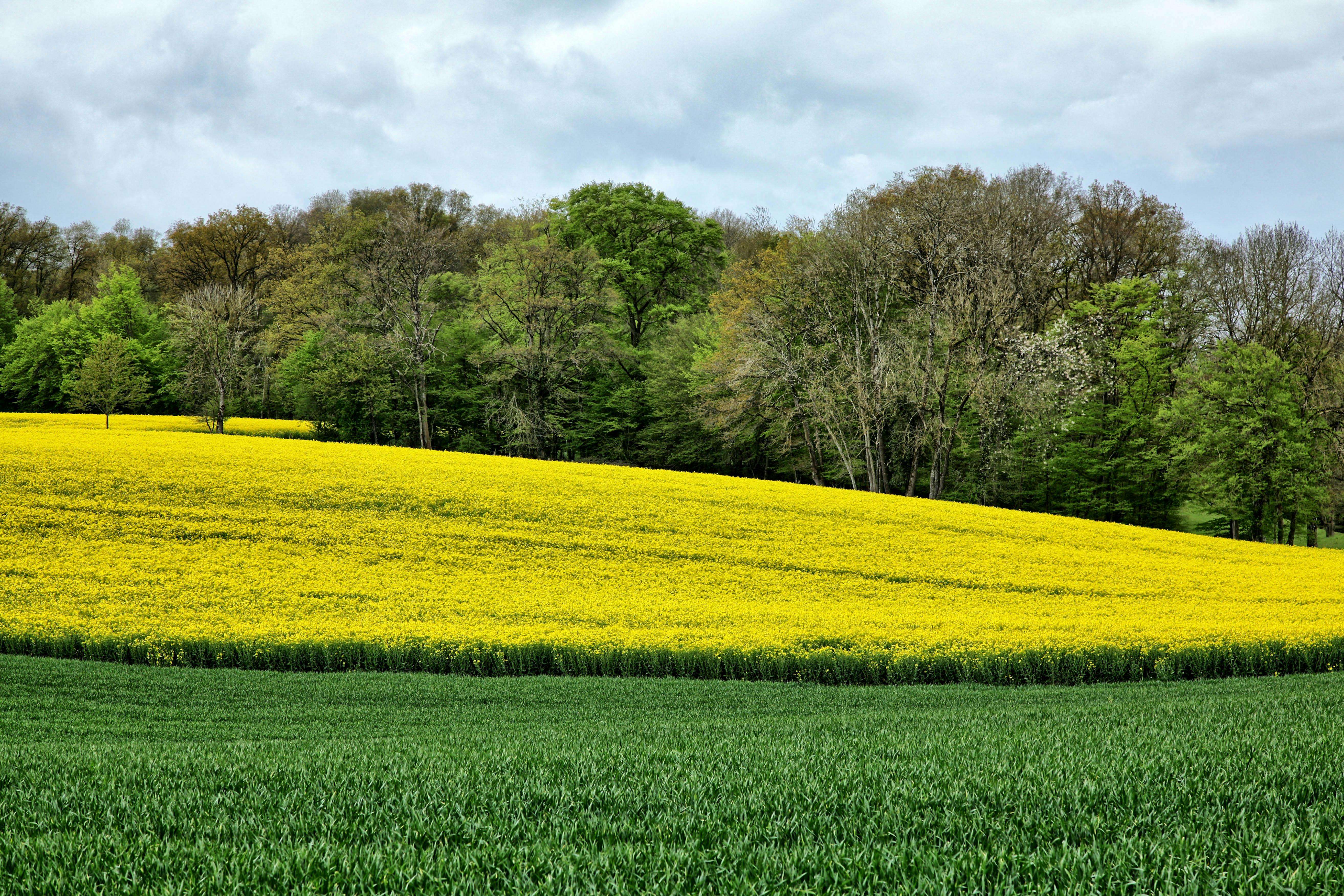客户催款怎么写？8个英文邮件模板教你有礼有节要回款