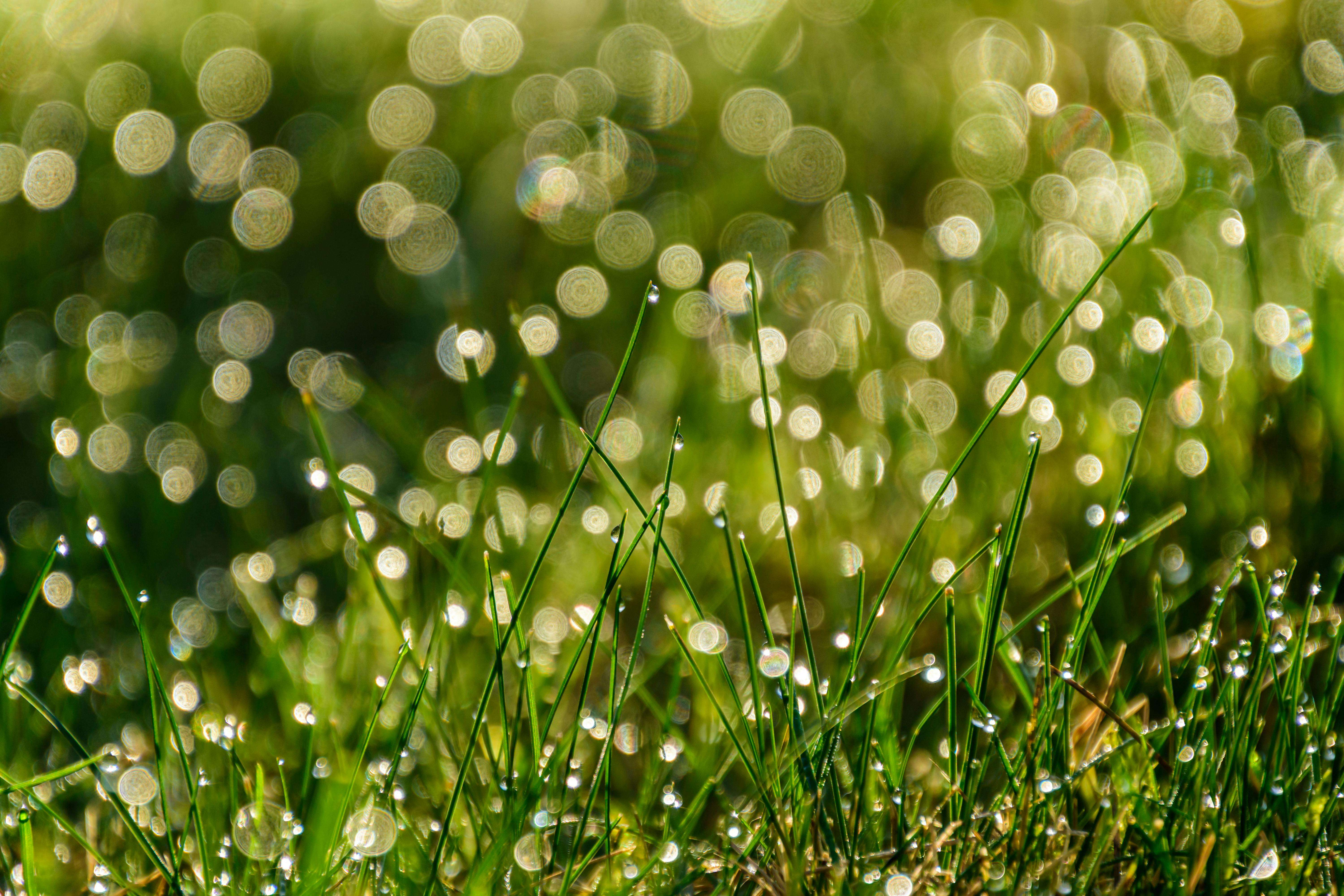 客户投诉怎么办？8个专业英文回复邮件模板教你优雅处理客诉