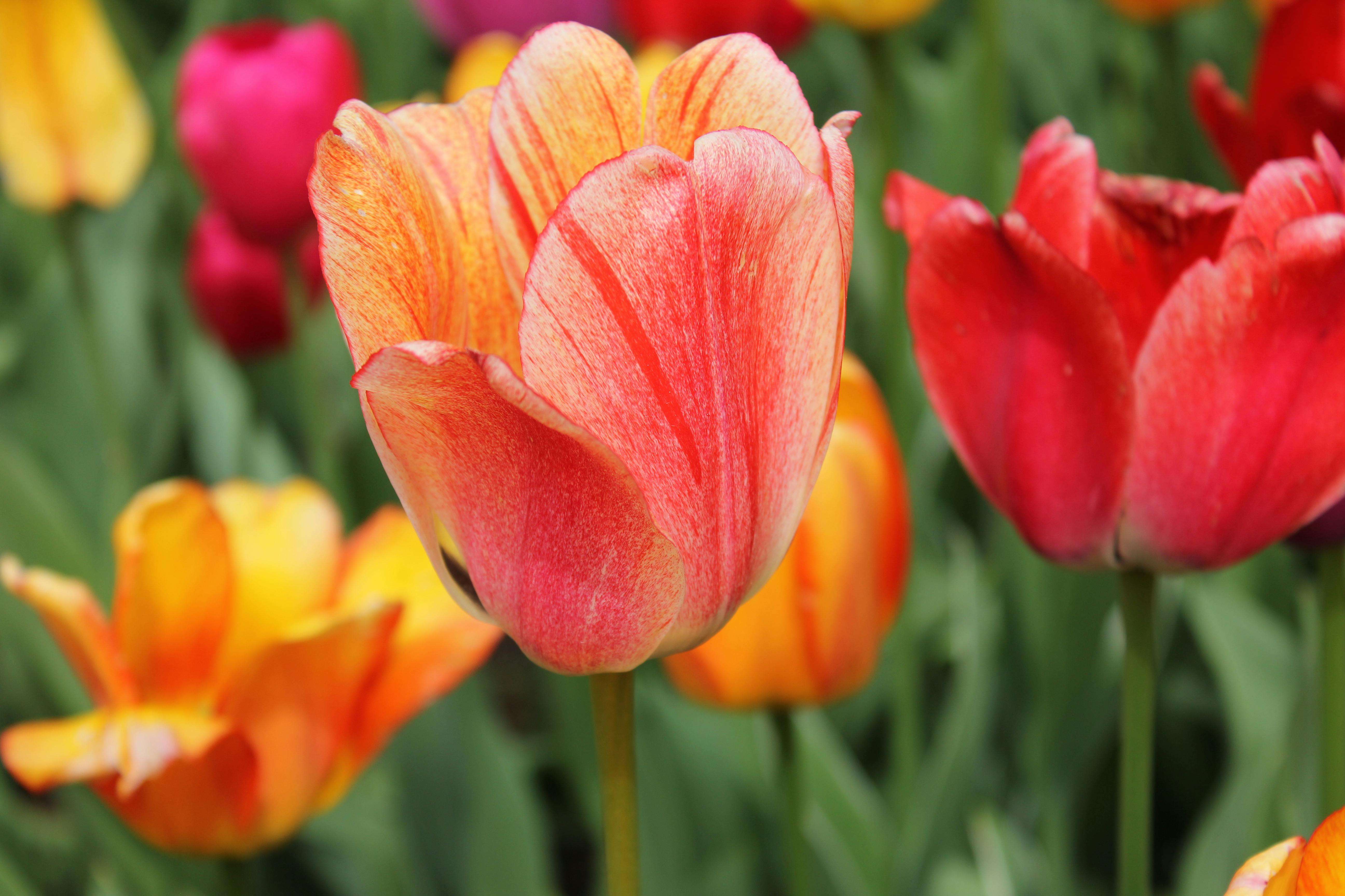 合作更顺畅：6个英文合同确认与协议沟通邮件模板