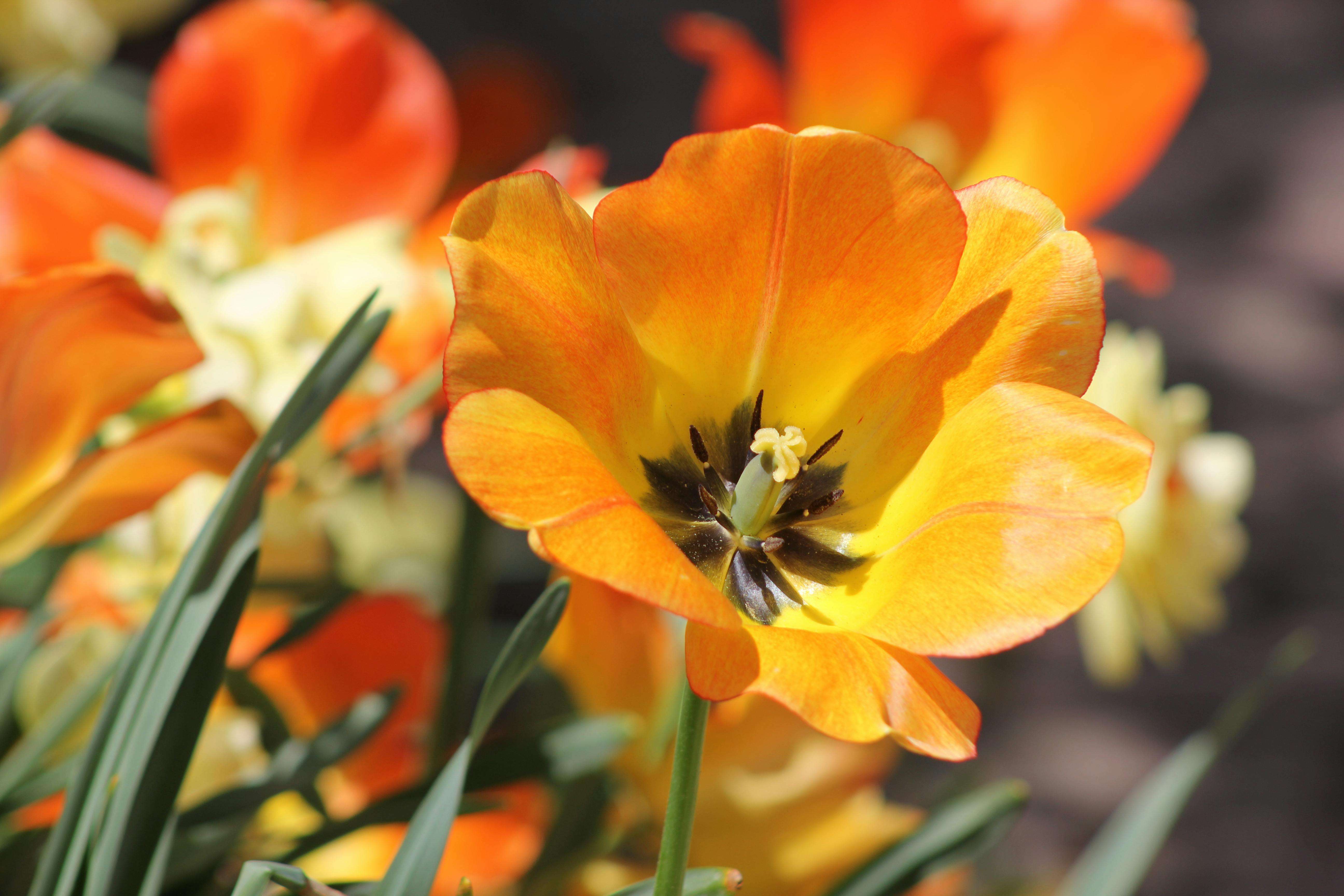 客户投诉别慌！7个英文回复邮件模板化解危机赢信任