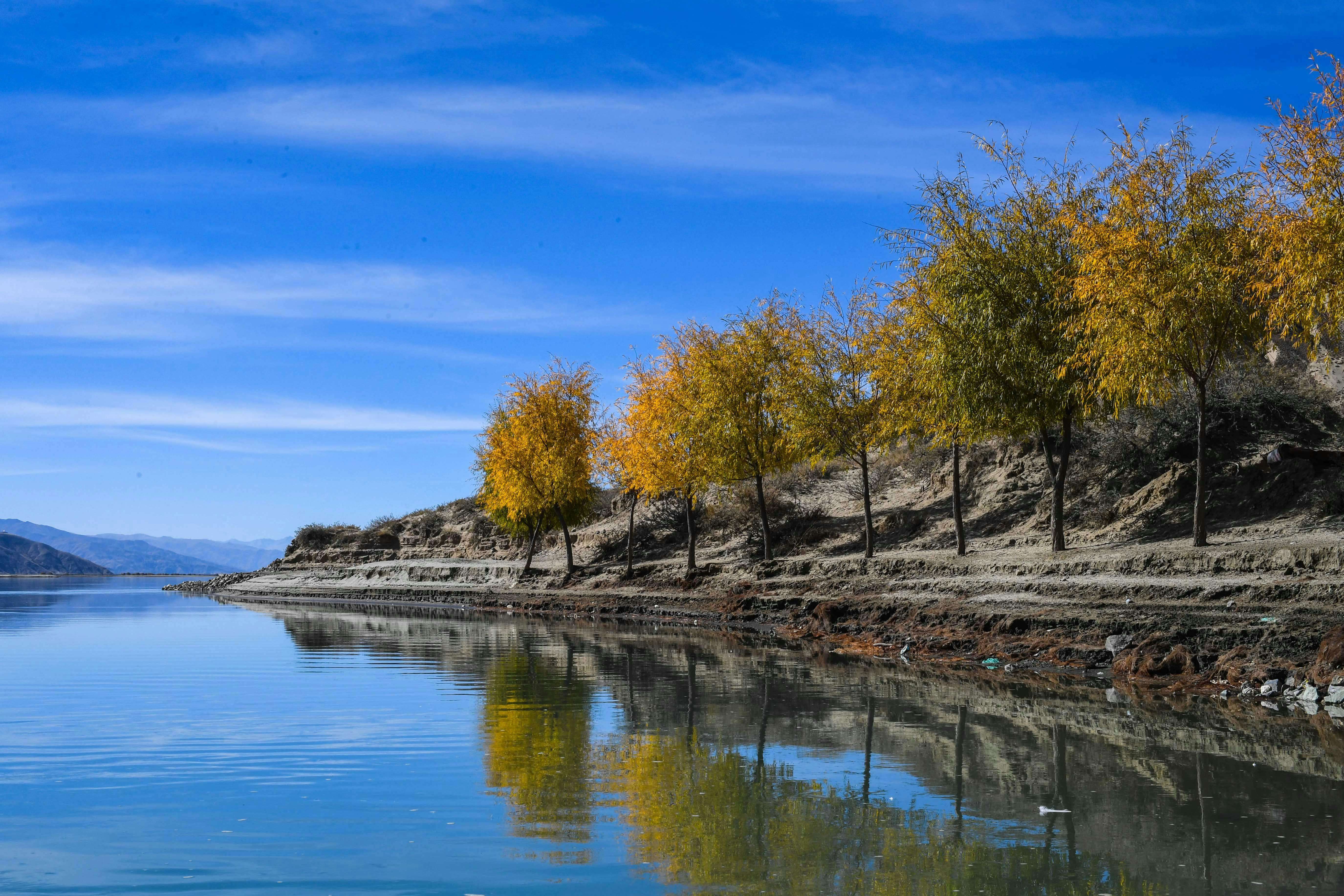 客户迟迟不回？5个高转化英文跟进邮件模板救场