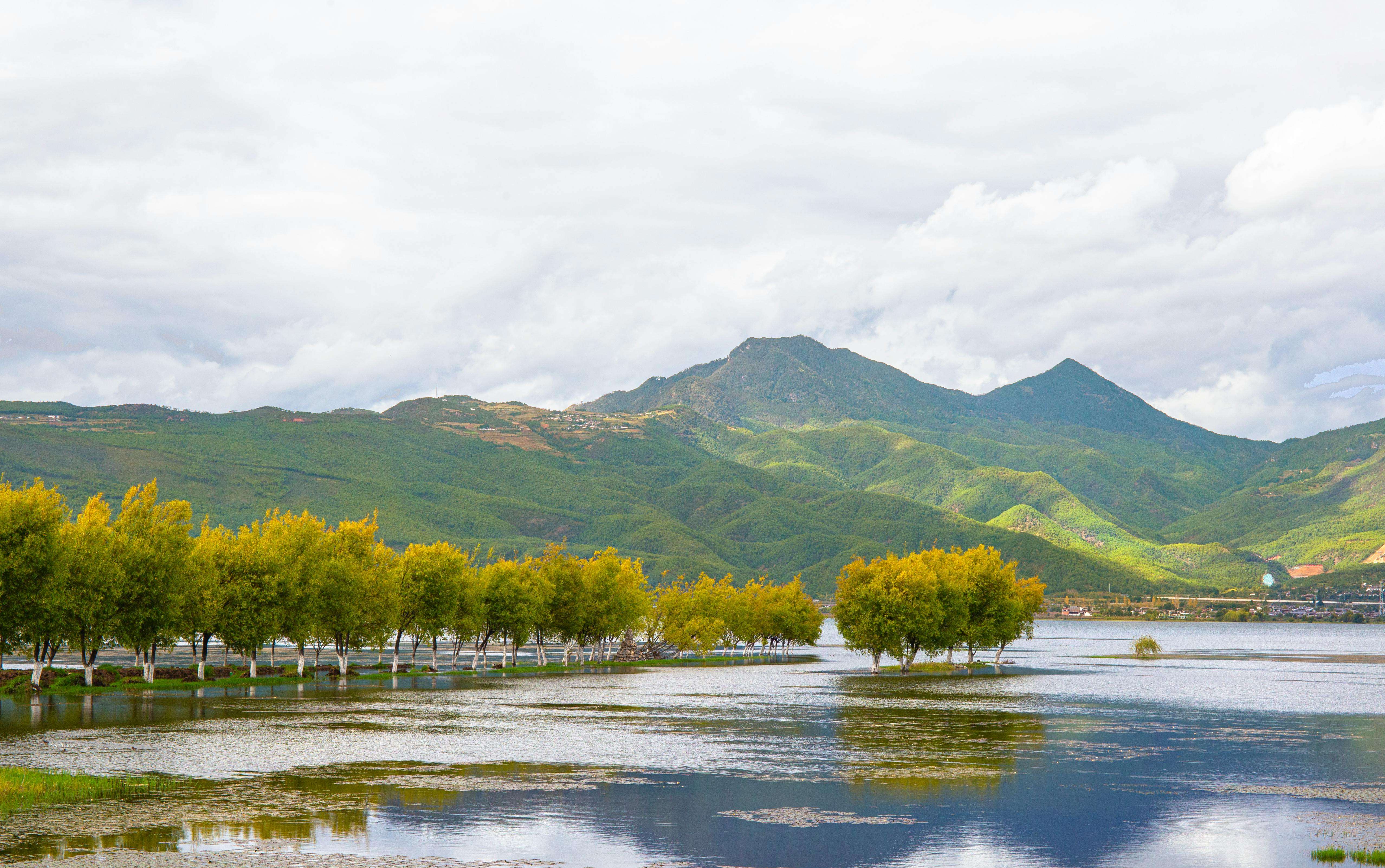 谈判加分项：10个商务英文邮件模板助你赢得客户信任