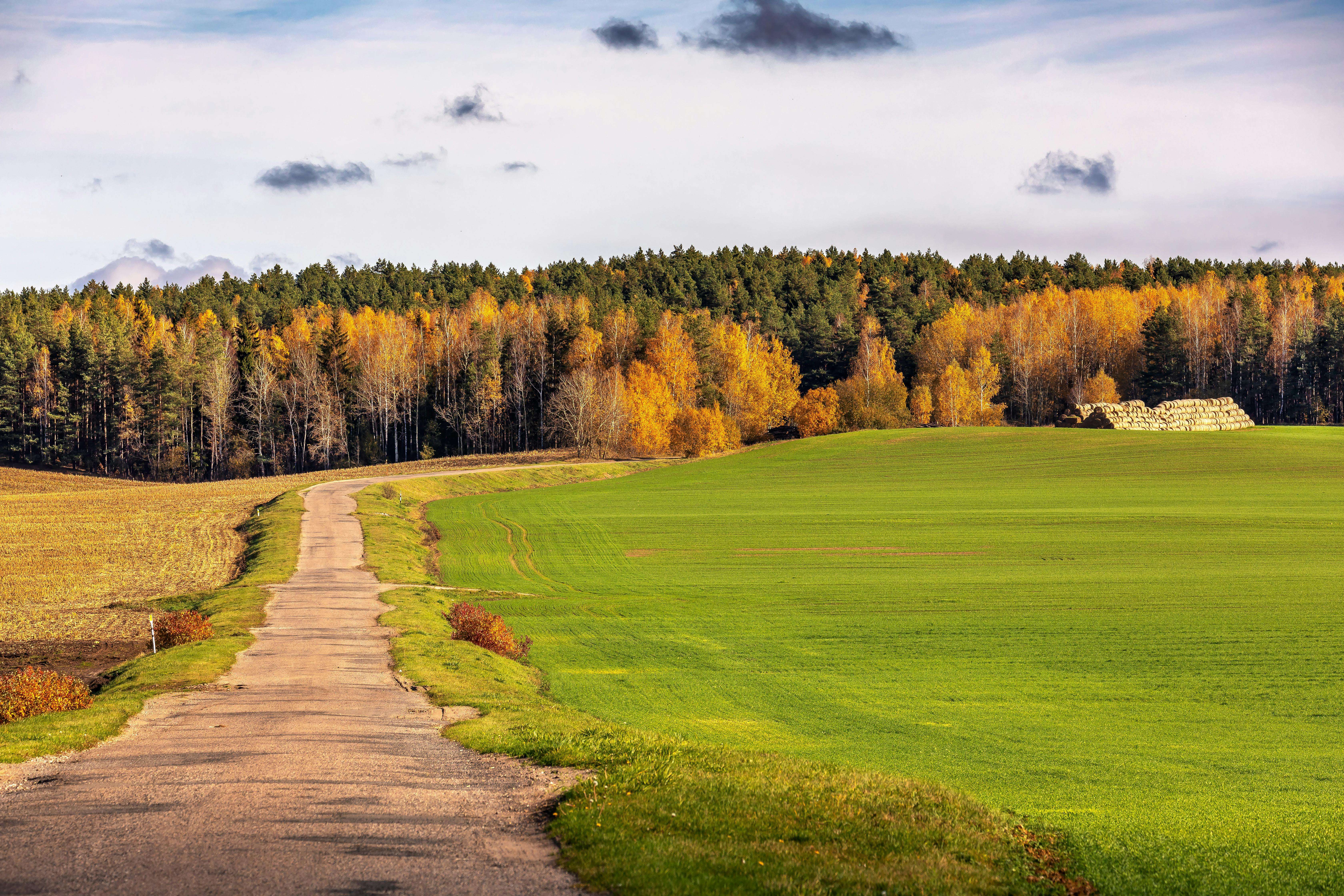 提升专业形象：8个正式英文商务邮件模板精讲