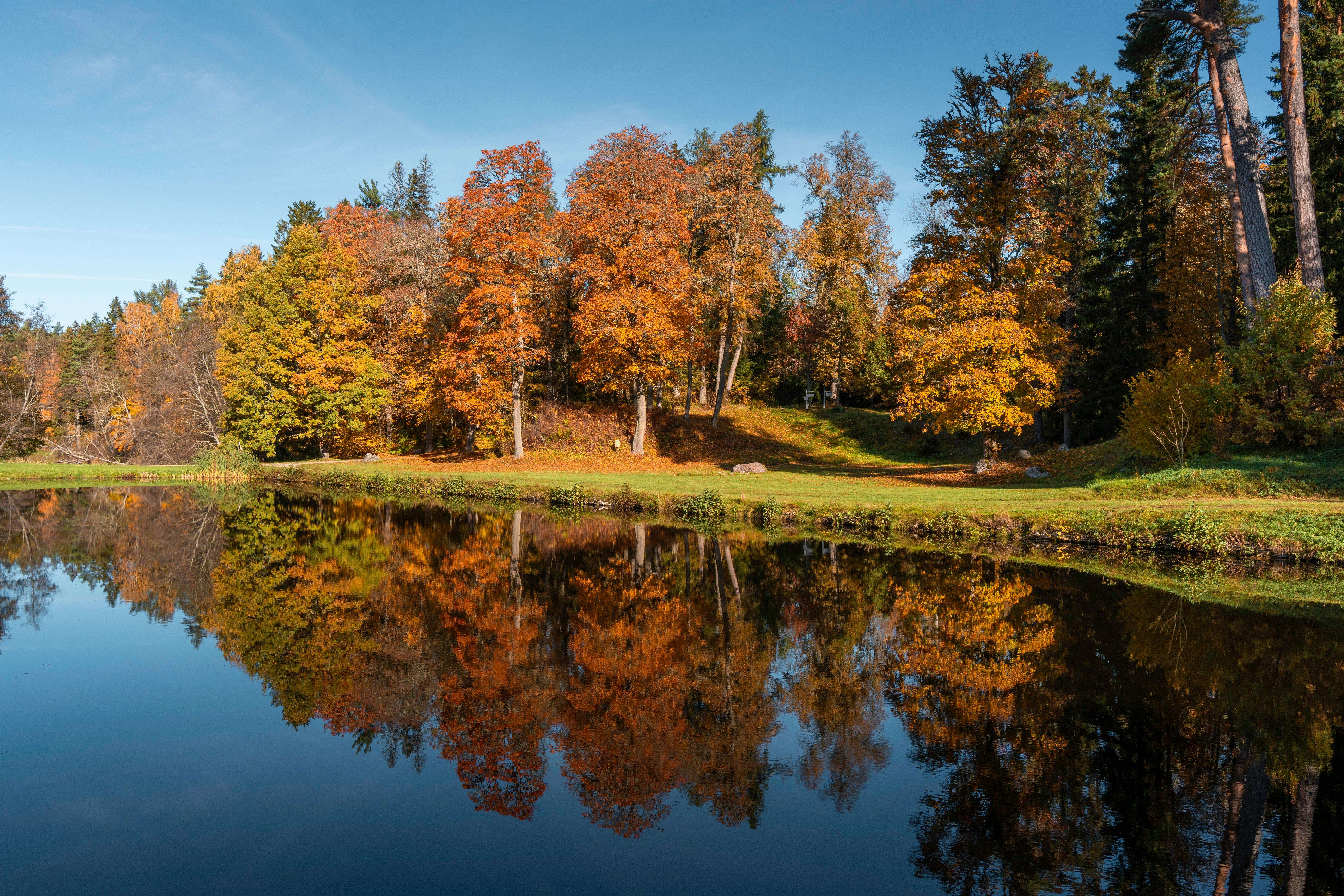 邮件也能赢订单：10个高转化率英文销售邮件模板