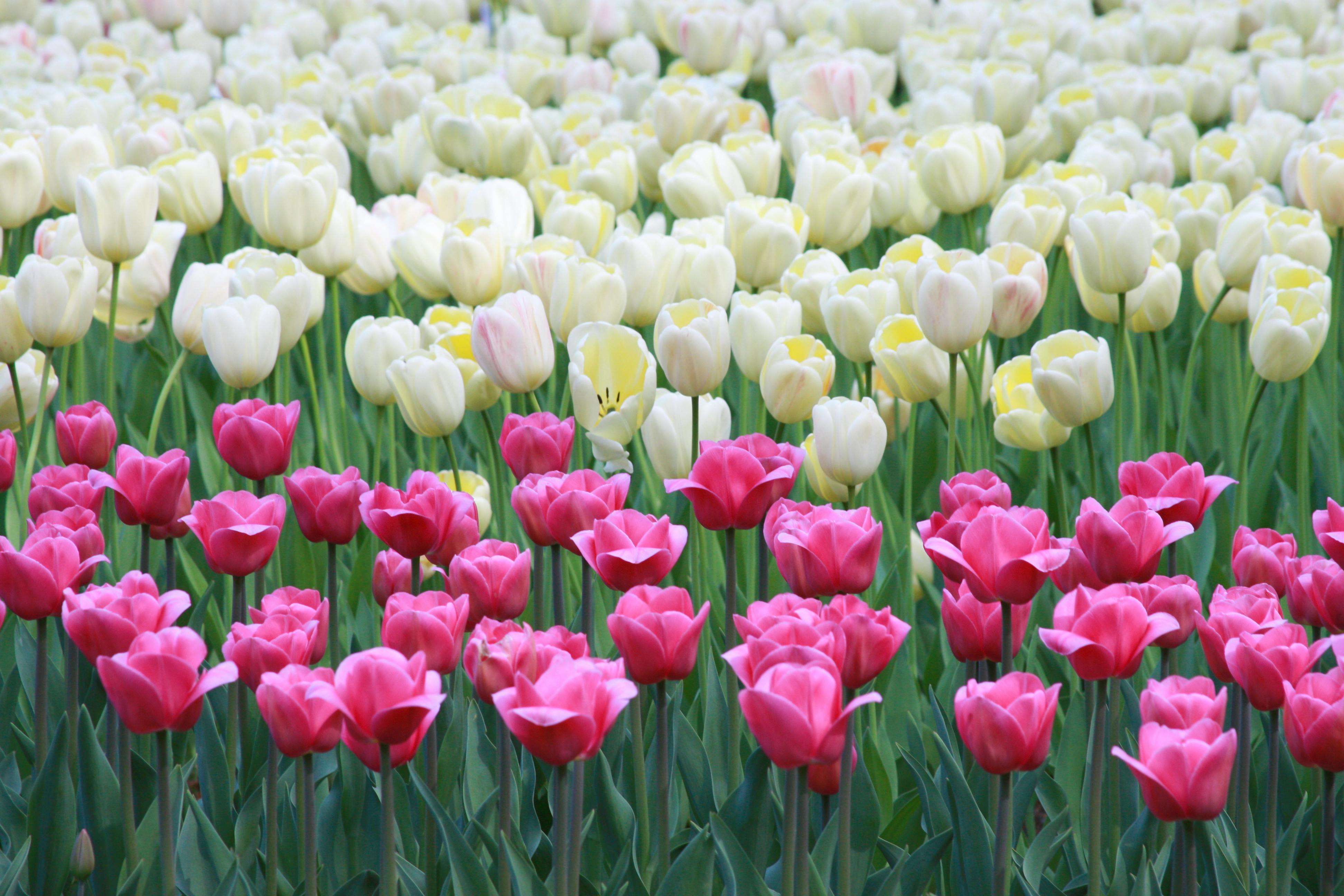 开发信怎么写？10个高打开率英文开发邮件模板分享