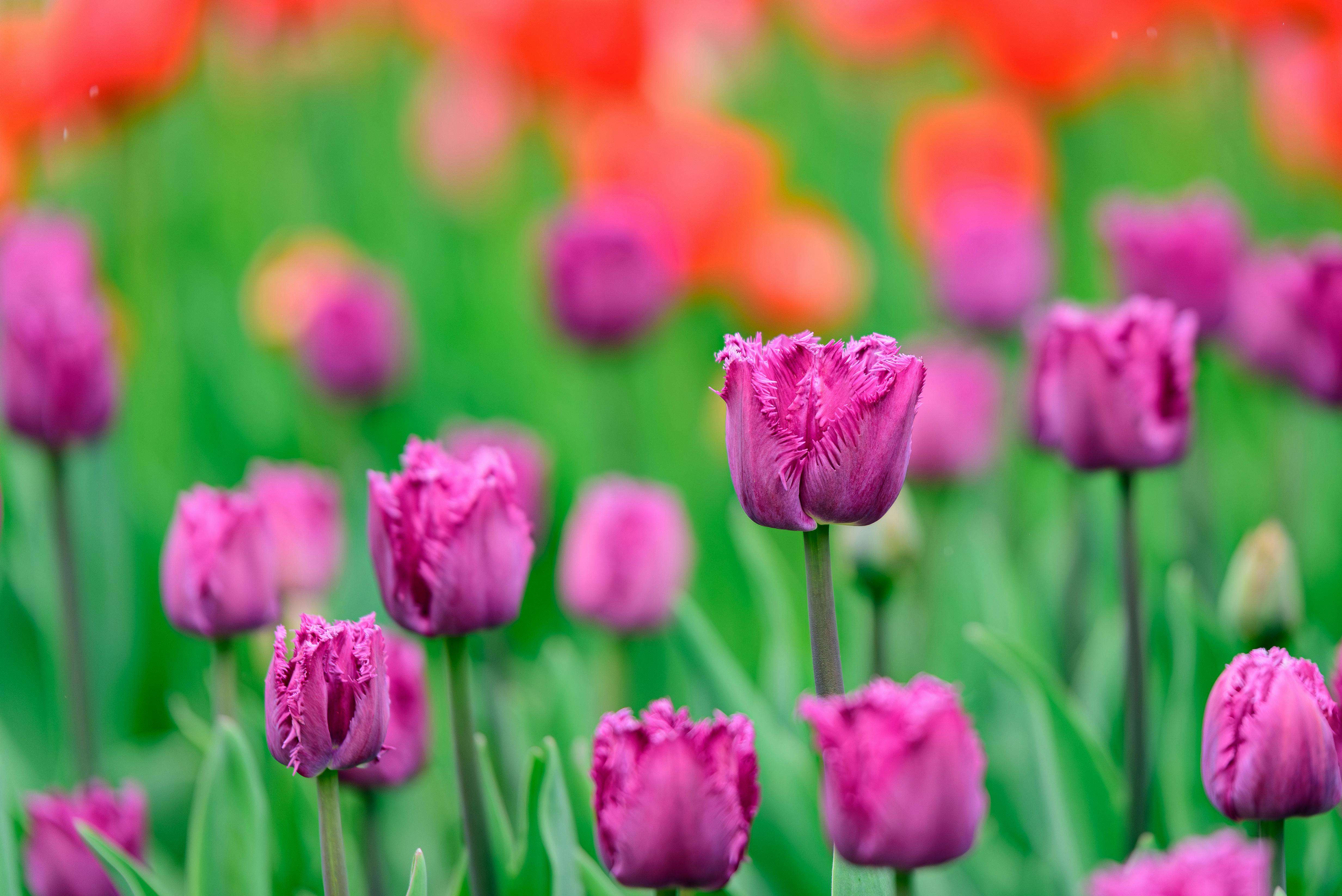 客户跟进不用愁：9个英文邮件模板教你持续激活潜在客户