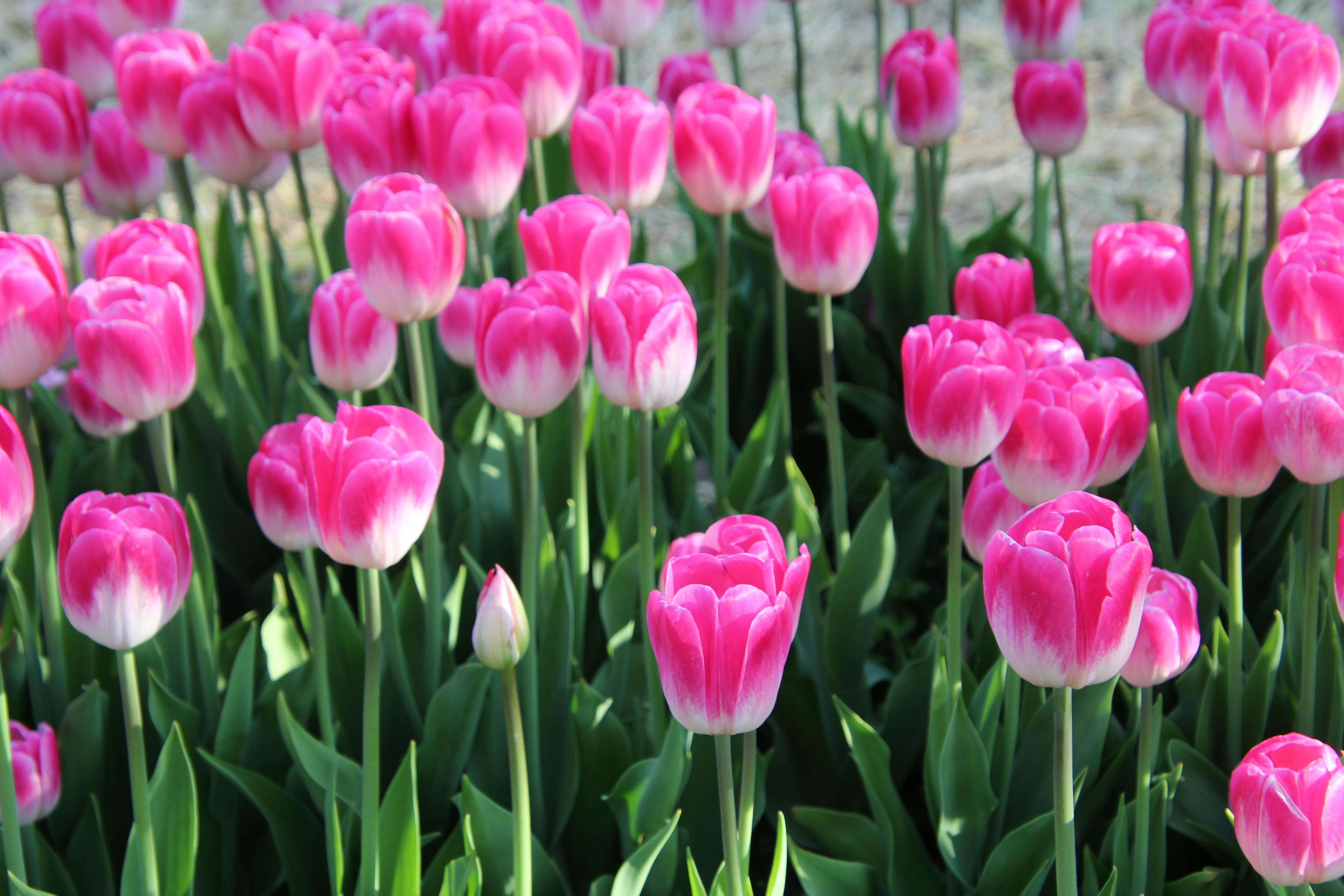 谈判利器：8个英文议价与还盘邮件模板，助你赢得价格主动权