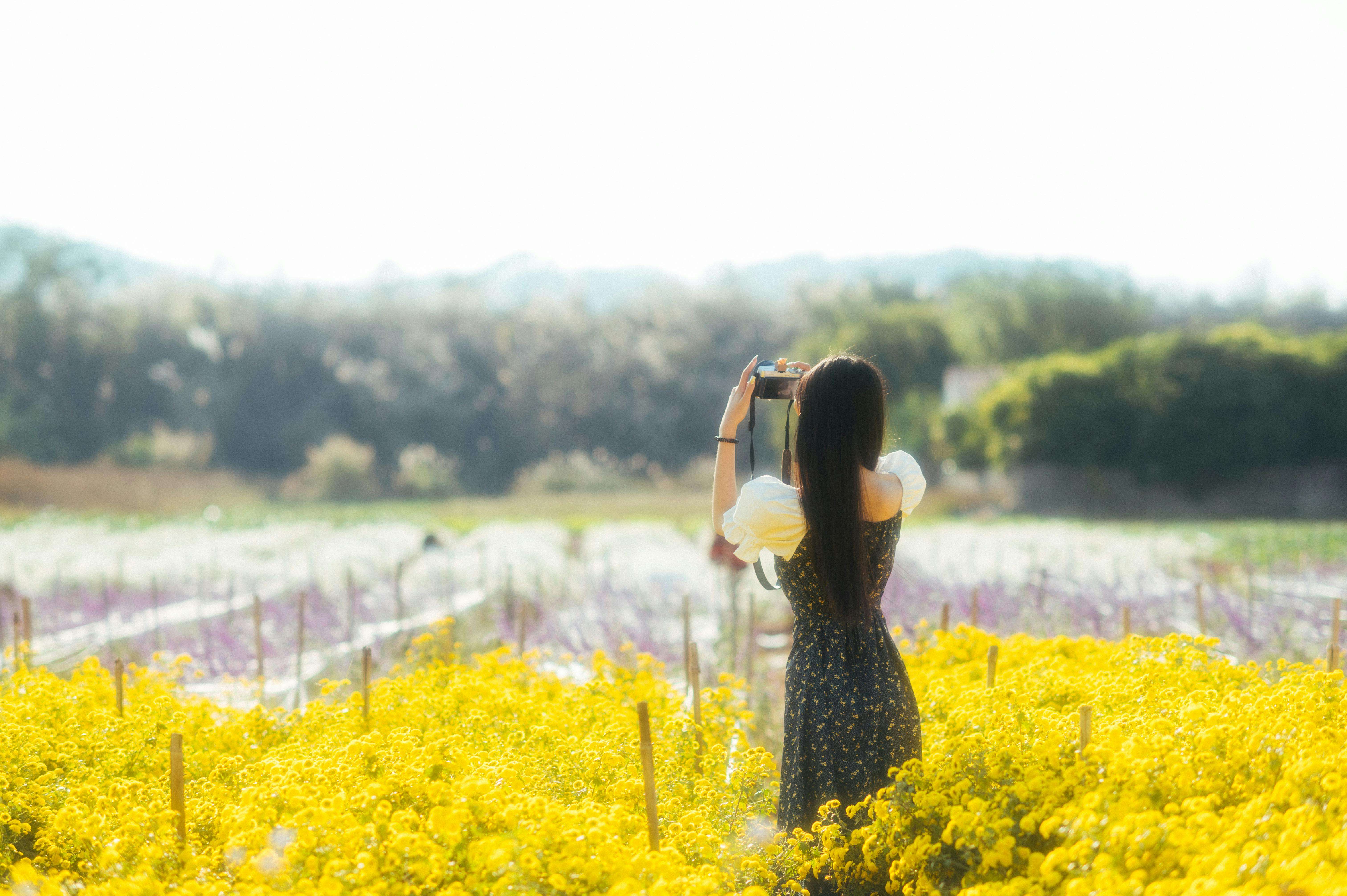 英语早读Day 9｜周末适合发朋友圈的英文短诗：万物都有自己的季节