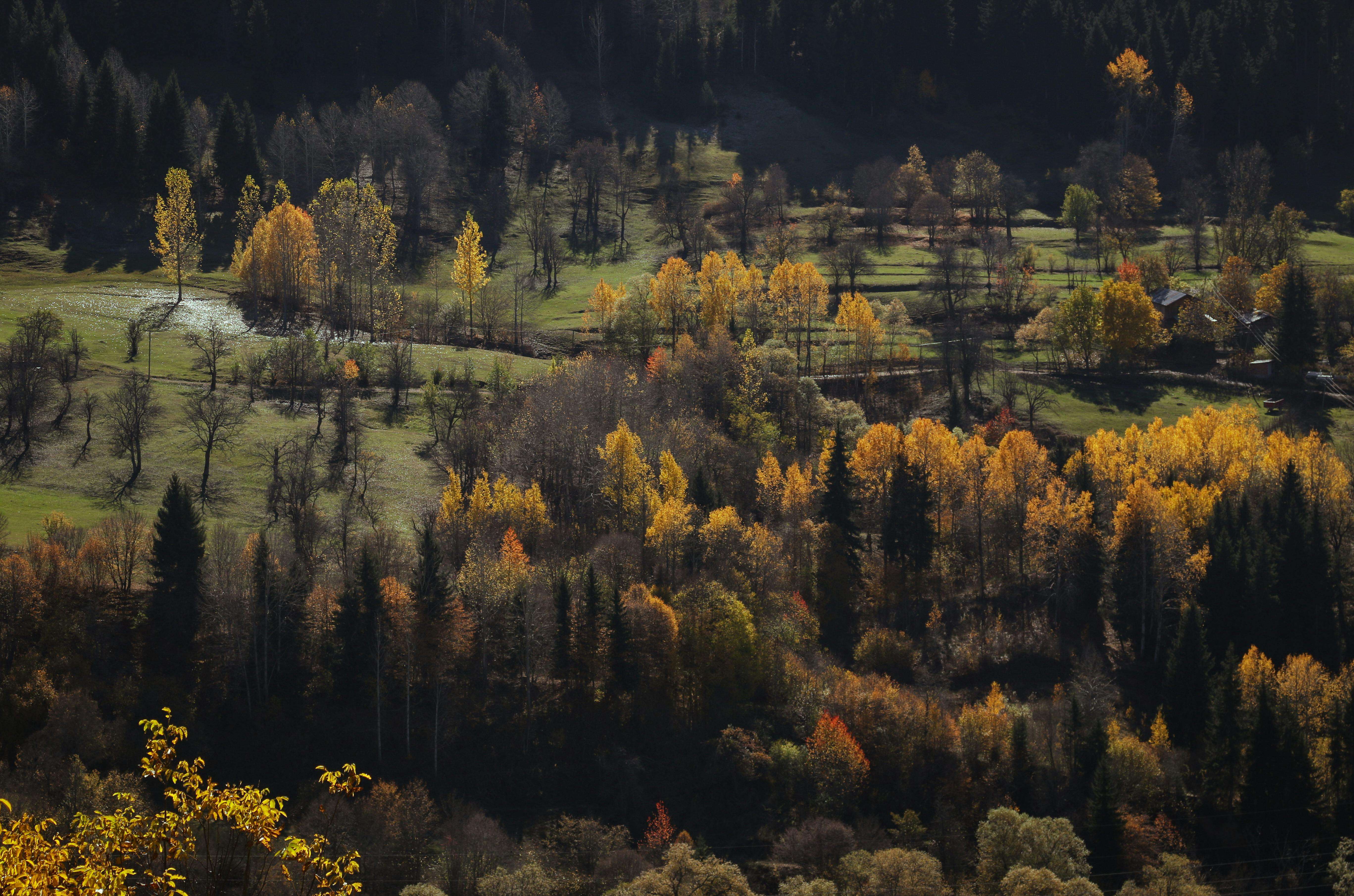 客户说“再考虑”怎么办？7个英文跟进邮件模板打破沉默促成交