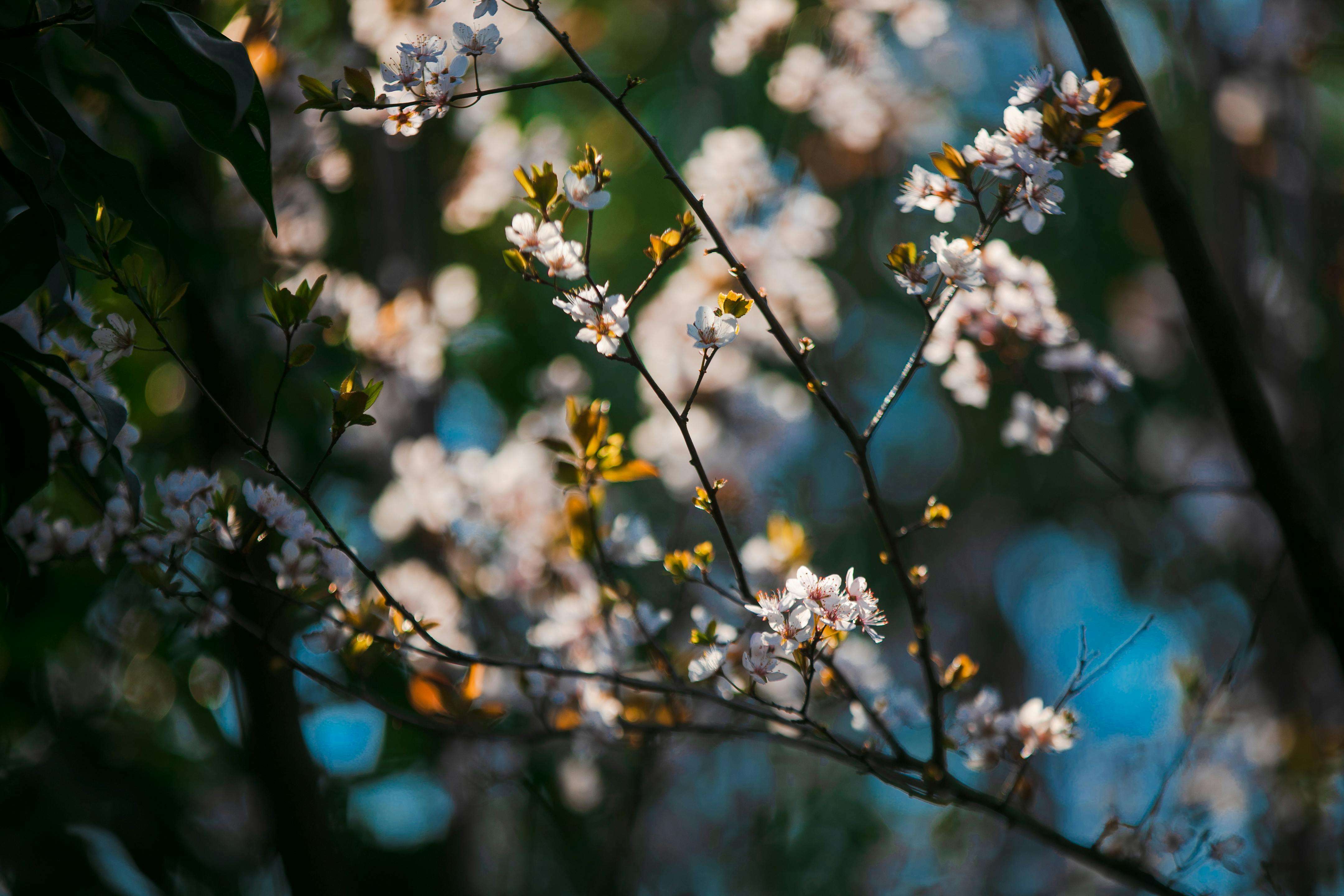 客户迟迟不回复？试试这9个催回复英文邮件模板