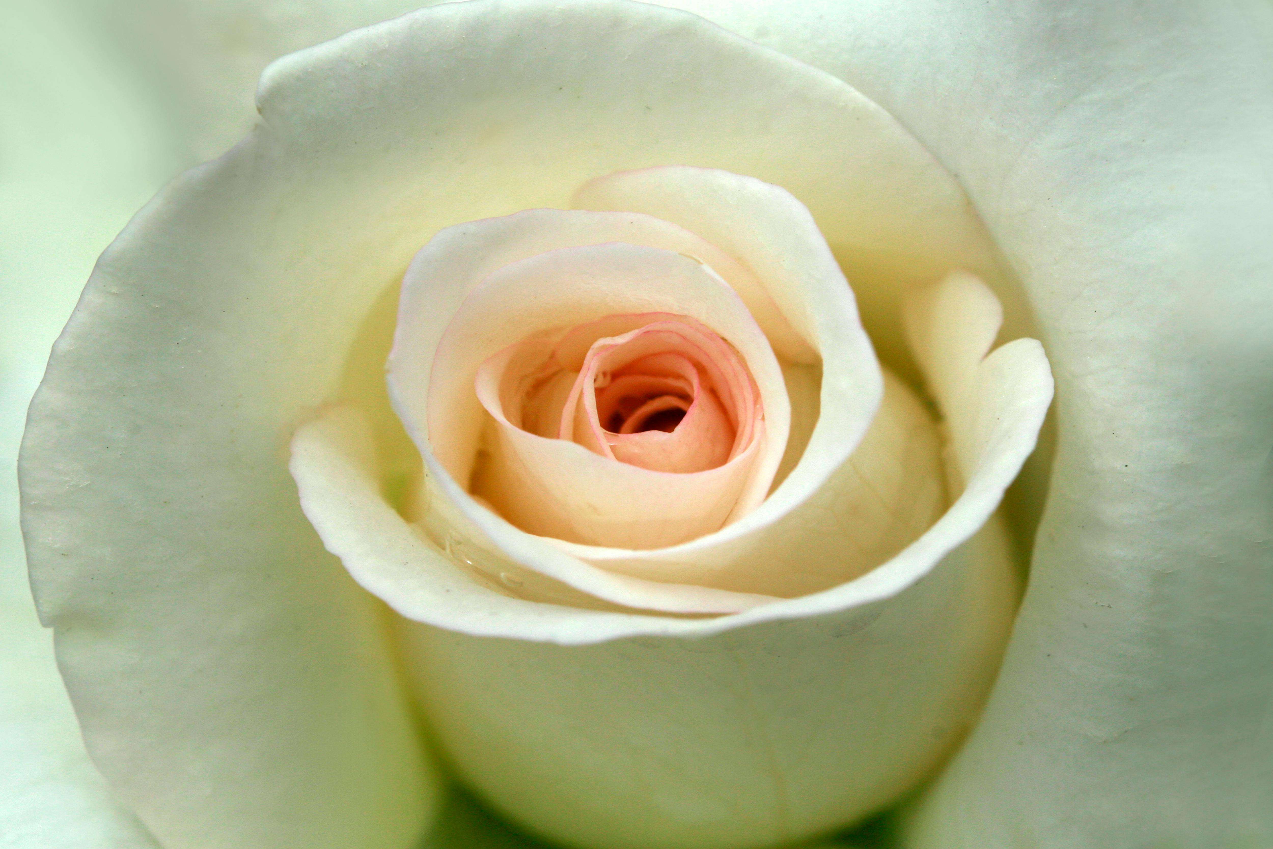 客户迟迟不回复？试试这9个跟进催单英文邮件模板，礼貌又高效