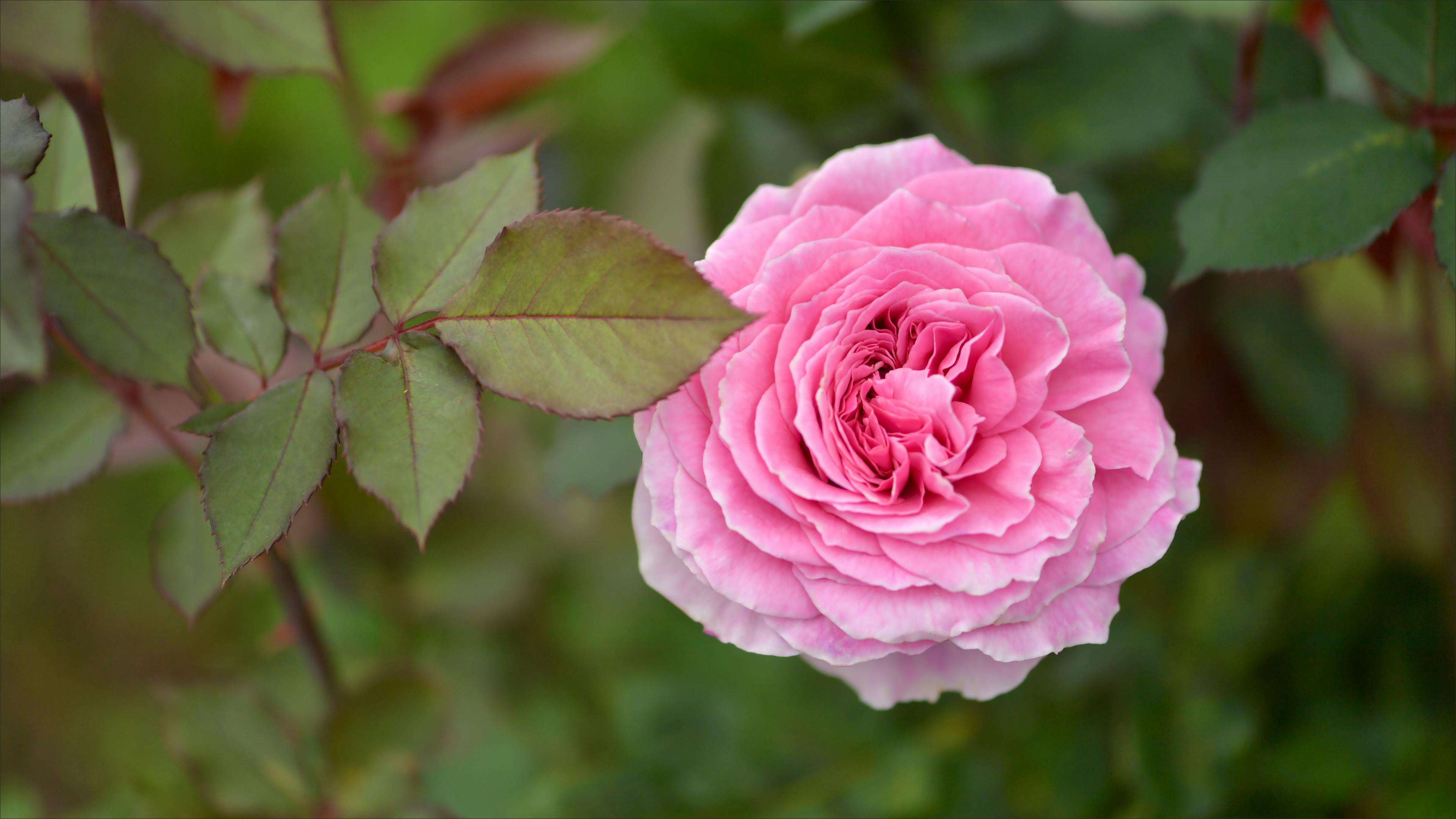 从询盘到成交：7个关键阶段英文邮件模板合集，外贸人收藏必备