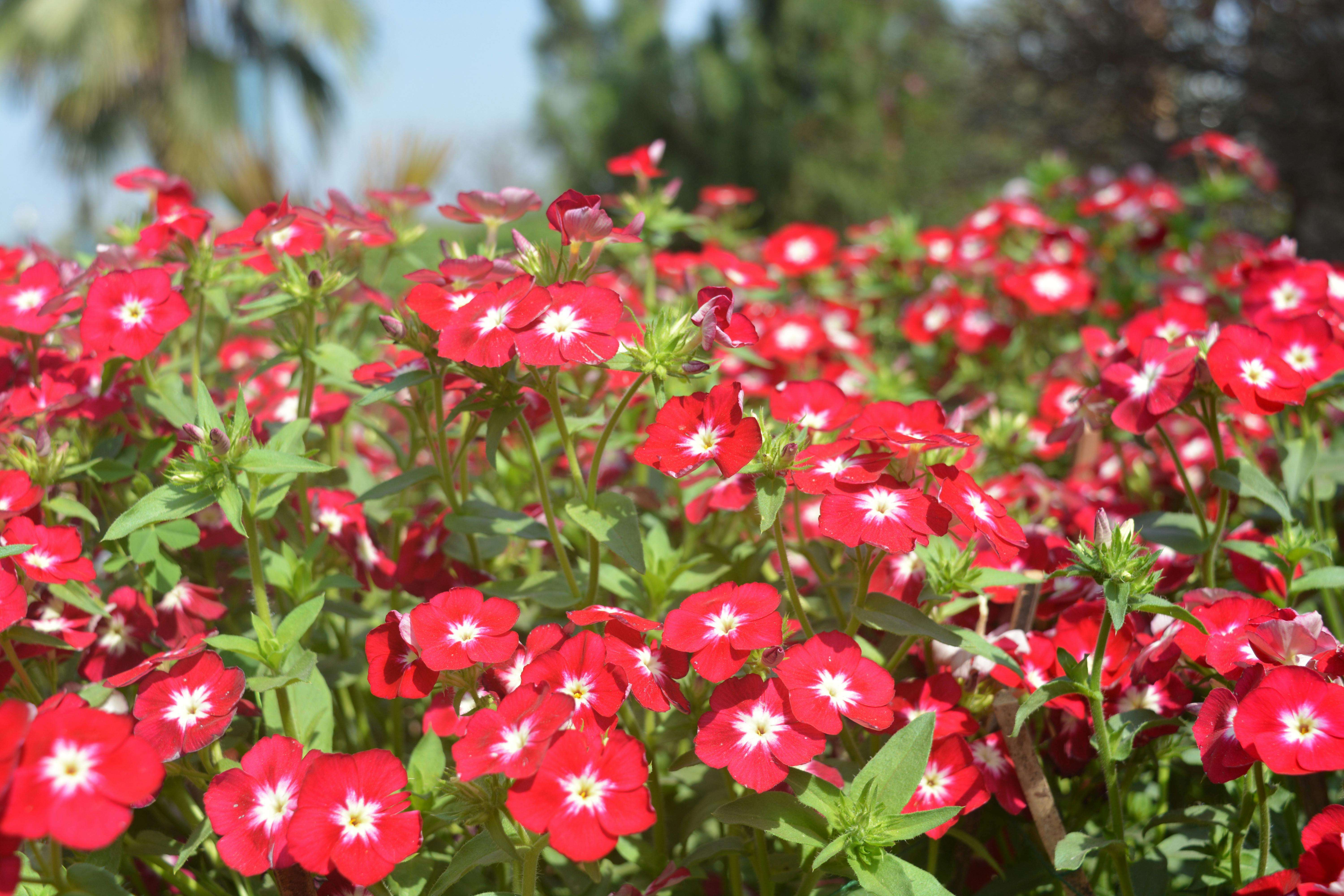 客户迟迟不回复？试试这9个催单英文邮件模板