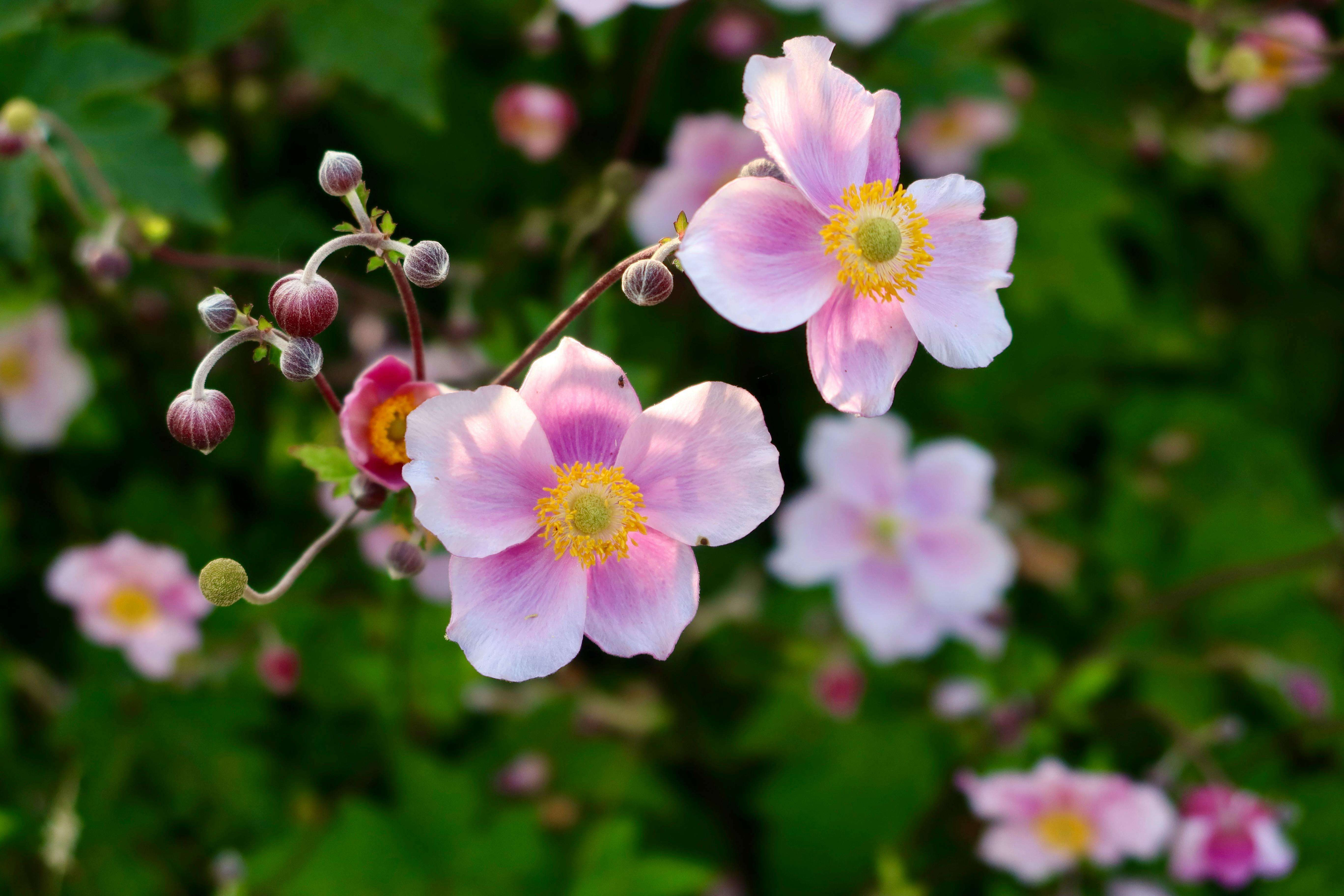 如何优雅催款？5个英文付款提醒邮件模板，既专业又不失礼貌