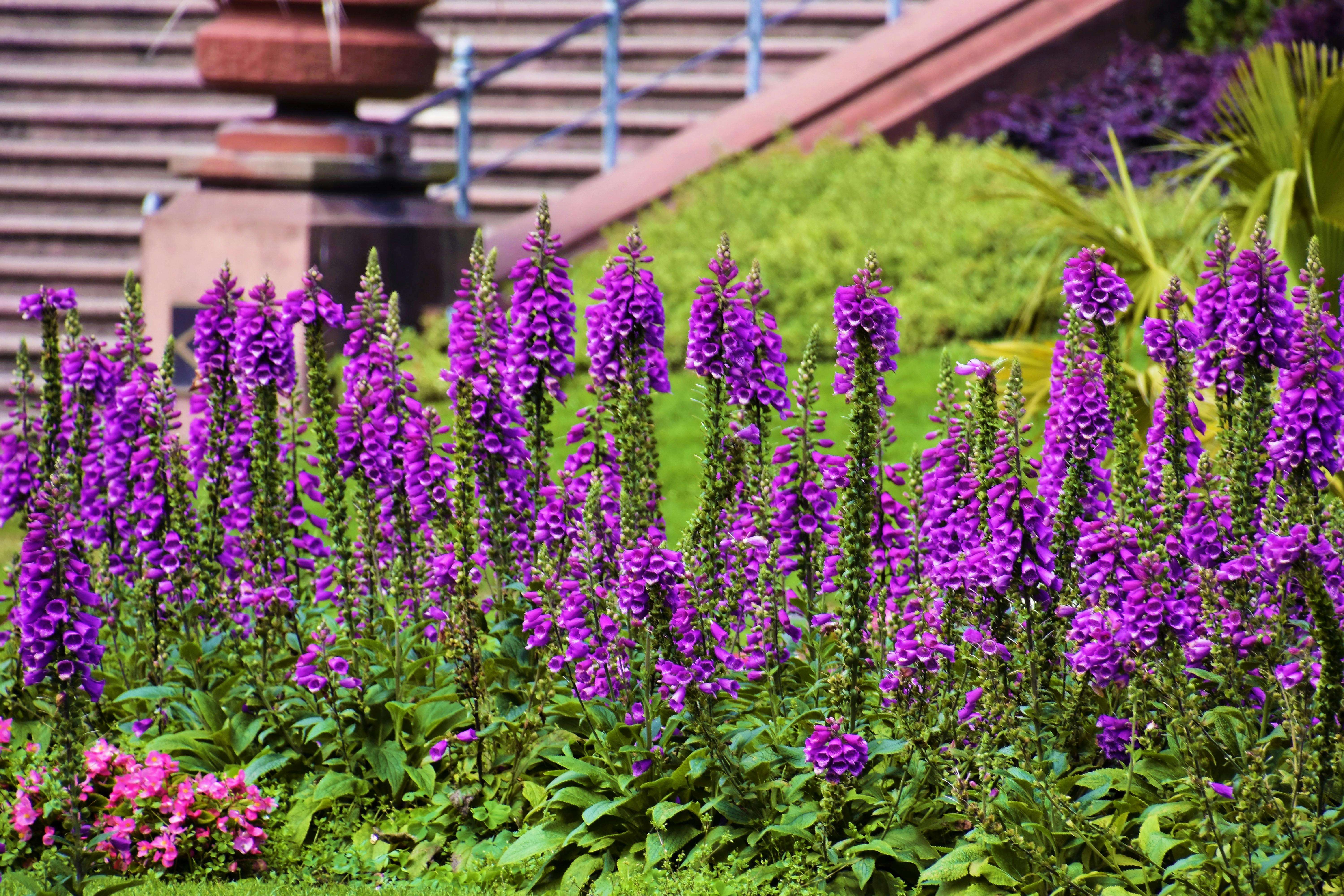 订单确认与发货通知：8个标准英文邮件模板，提升客户满意度