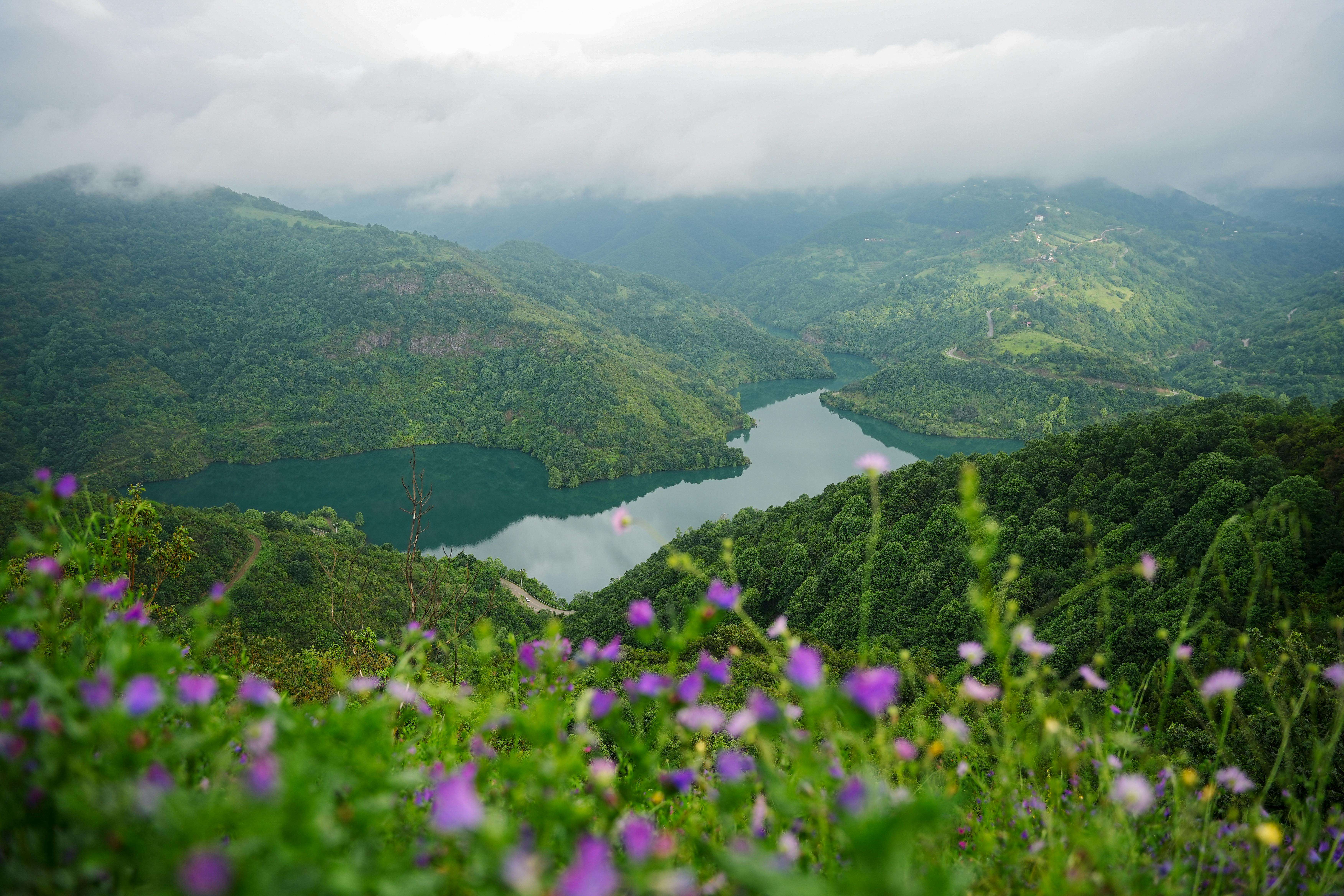 如何专业回复客户投诉？8个英文道歉与解决方案邮件模板