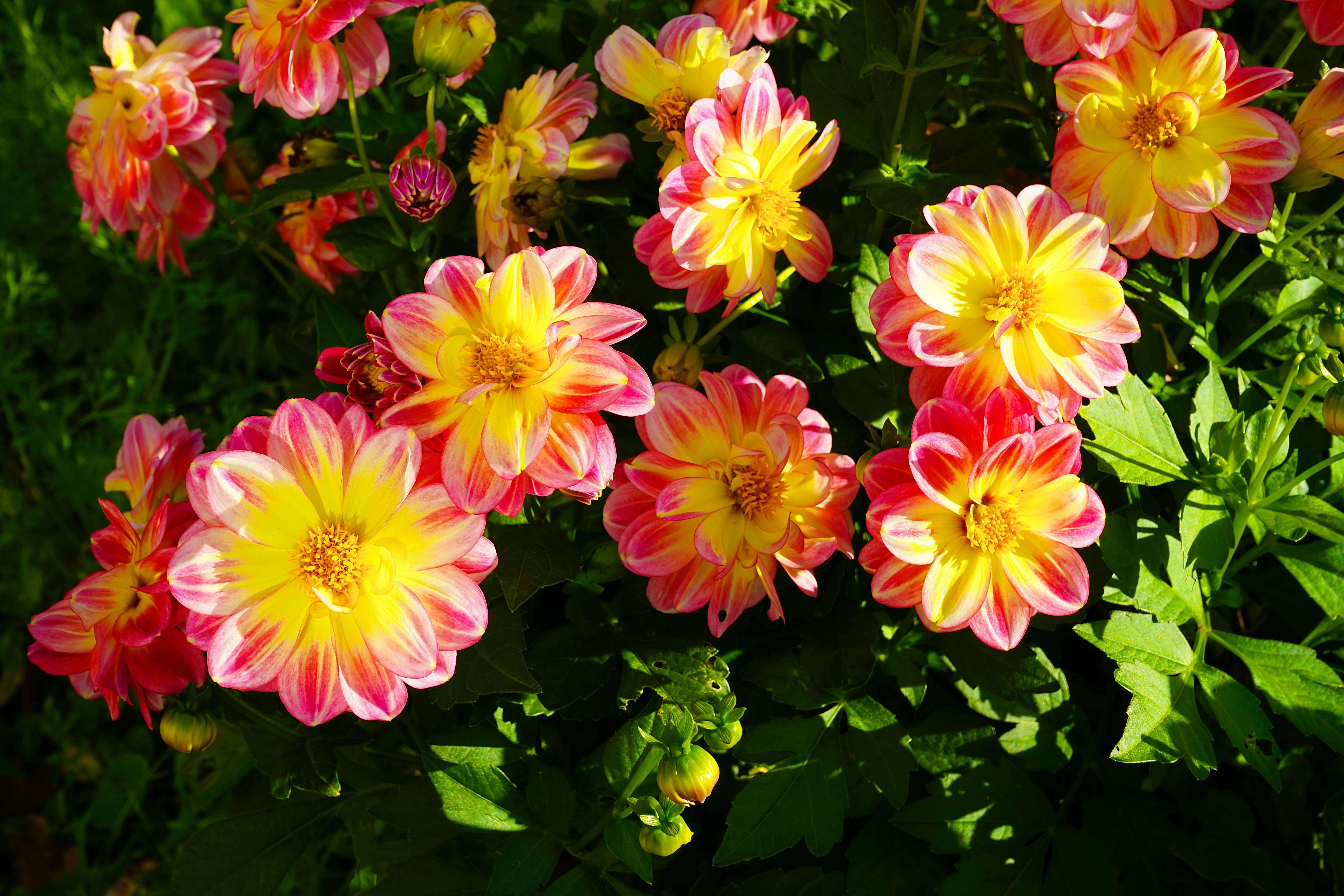 谈判利器：8个英文还价与价格协商邮件模板（附话术解析）