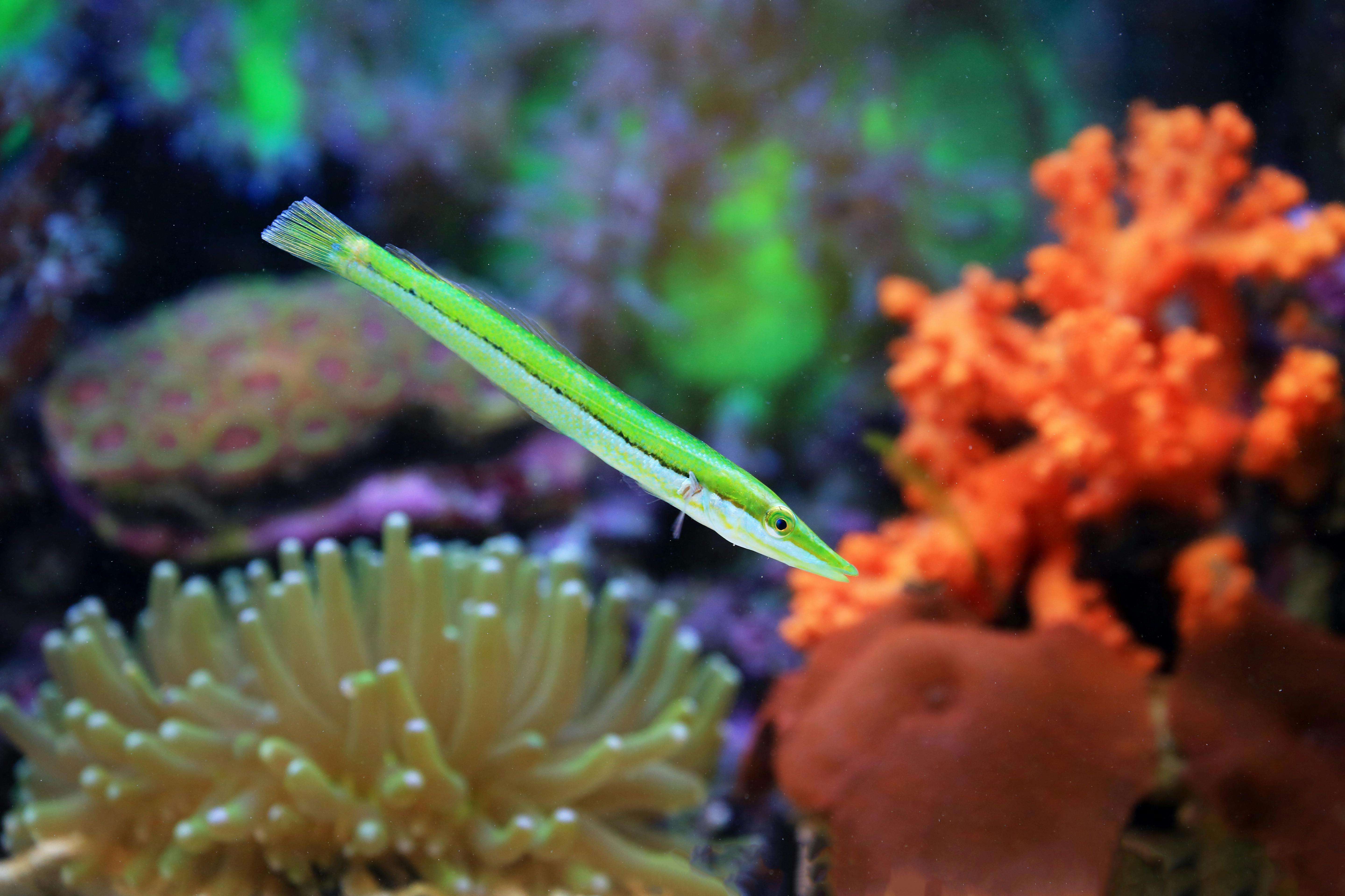 避免误解：8个清晰准确的英文订单确认与变更邮件模板