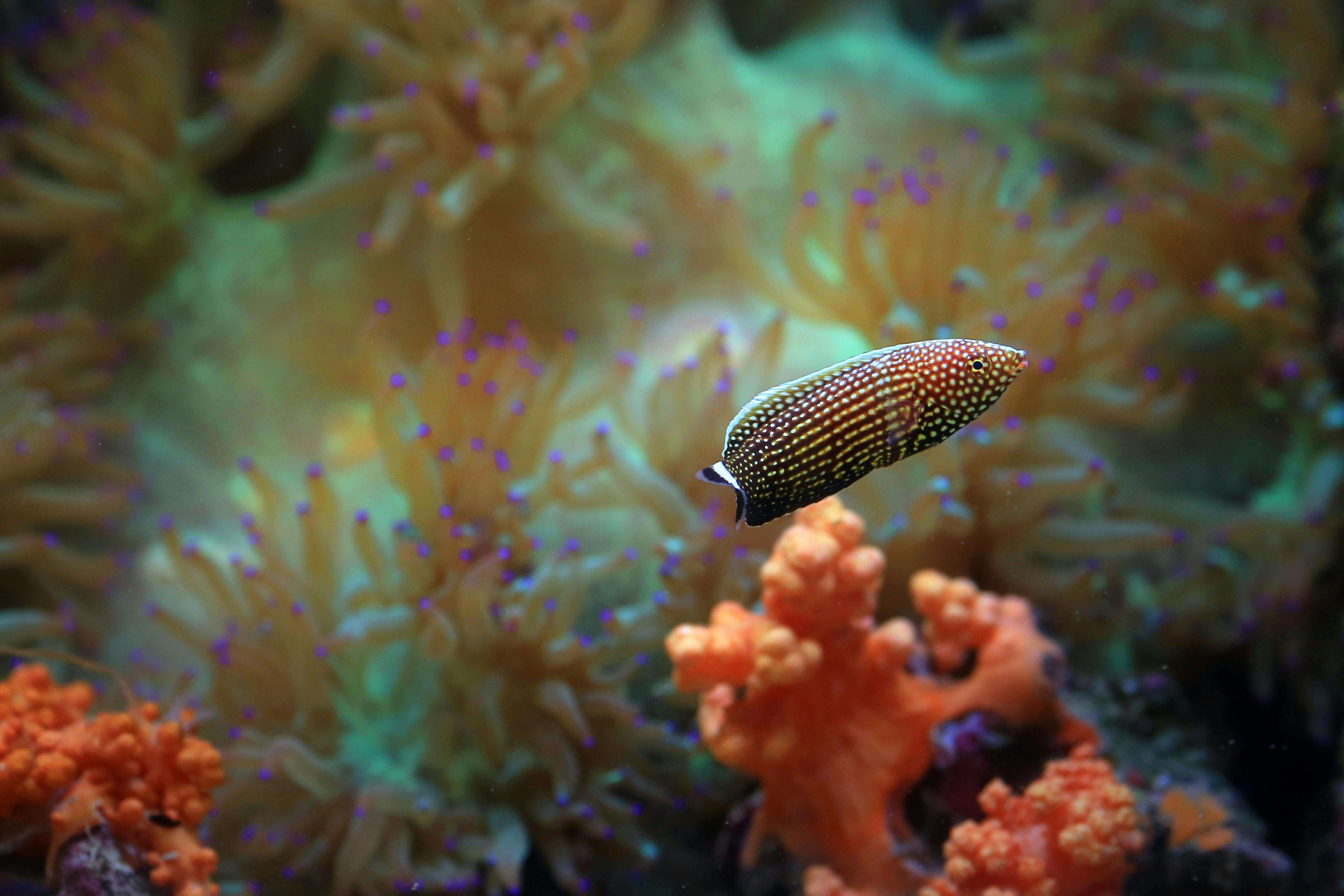 高效职场沟通：10个通用商务英文邮件模板（适用于各行各业）