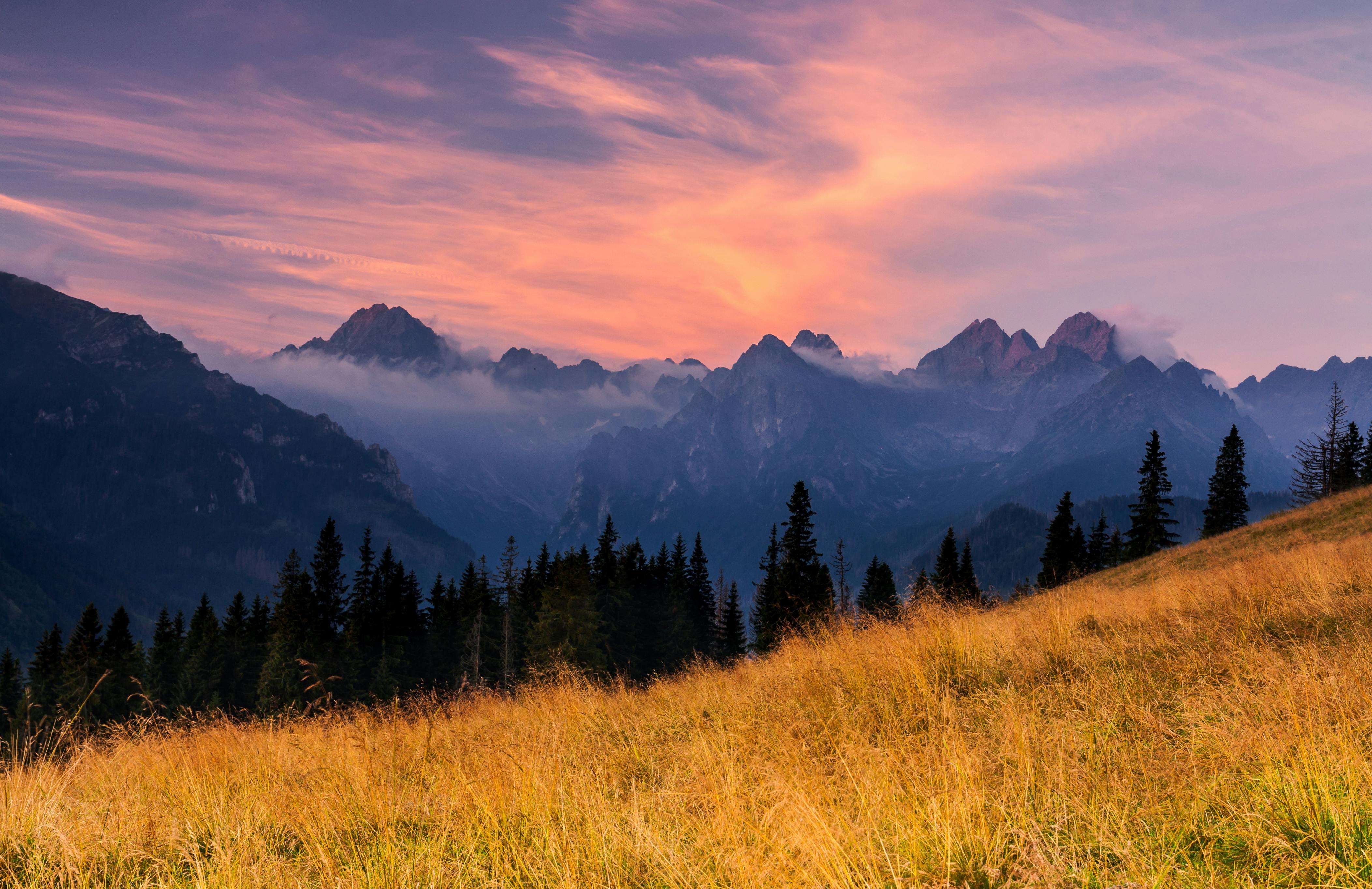 高效办公：7个英文工作汇报邮件模板，清晰传达工作成果