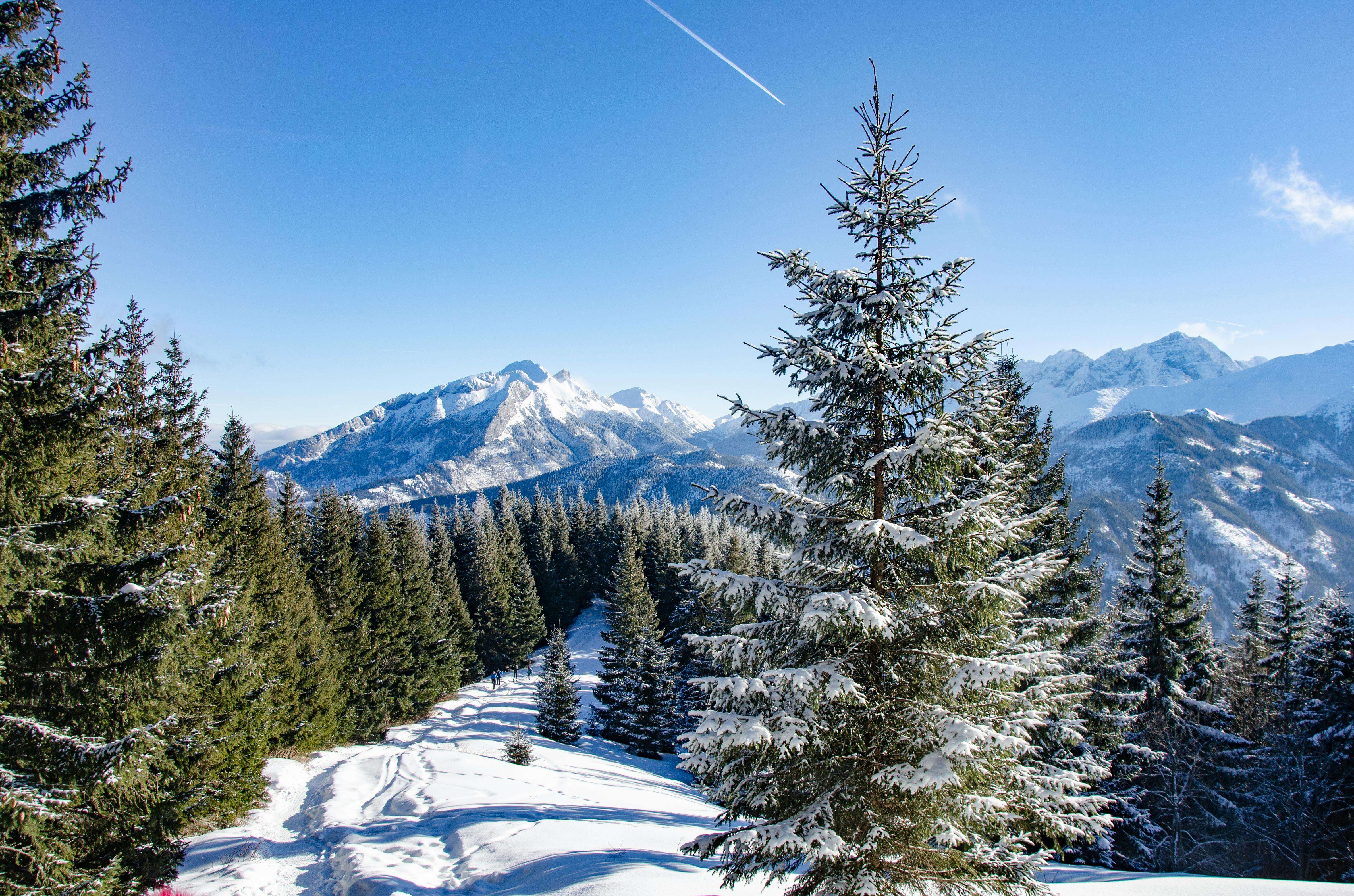 谈判利器：8个英文报价与议价邮件模板，助你顺利成交