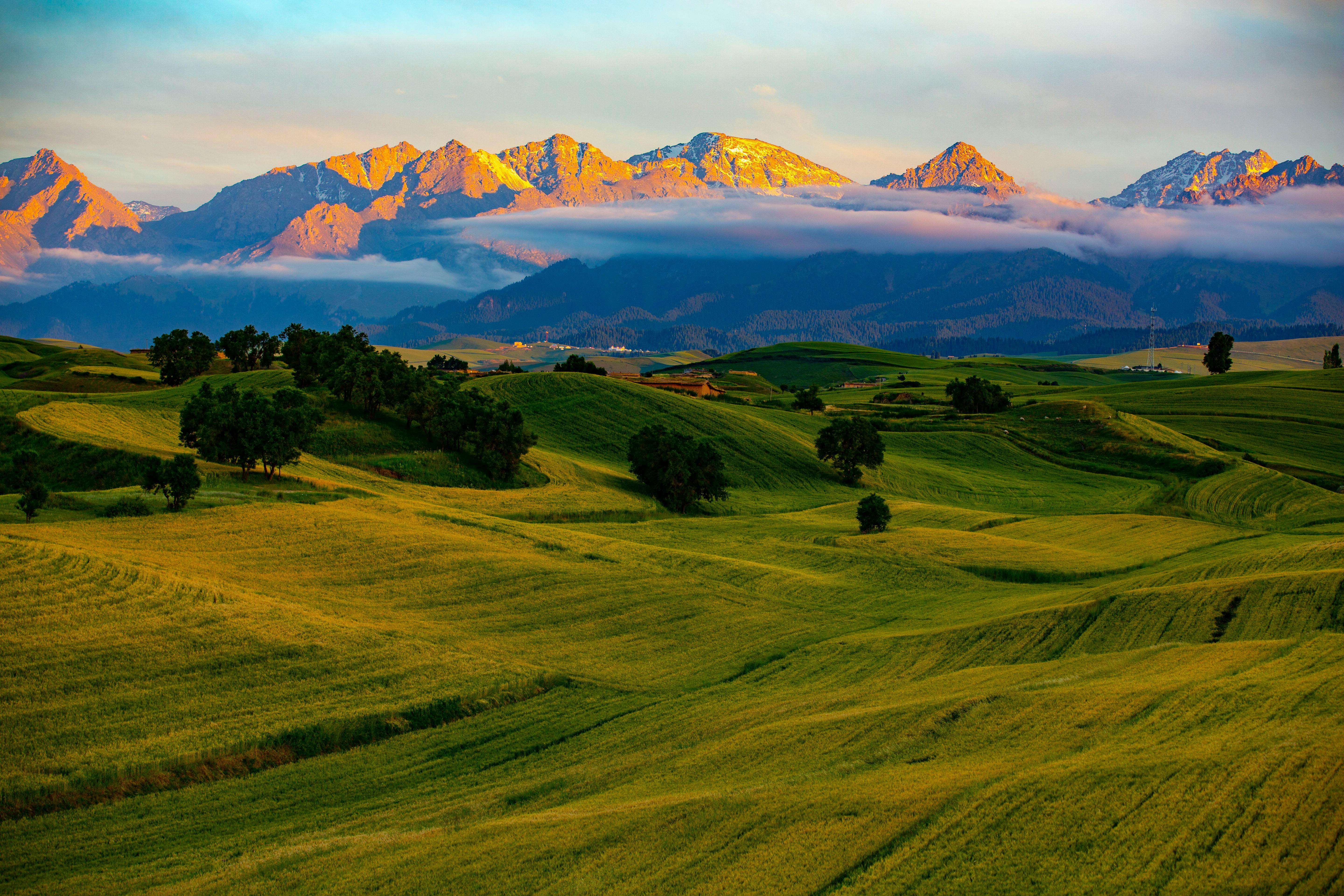 新手必看：8个实用英文邮件模板，快速上手商务沟通