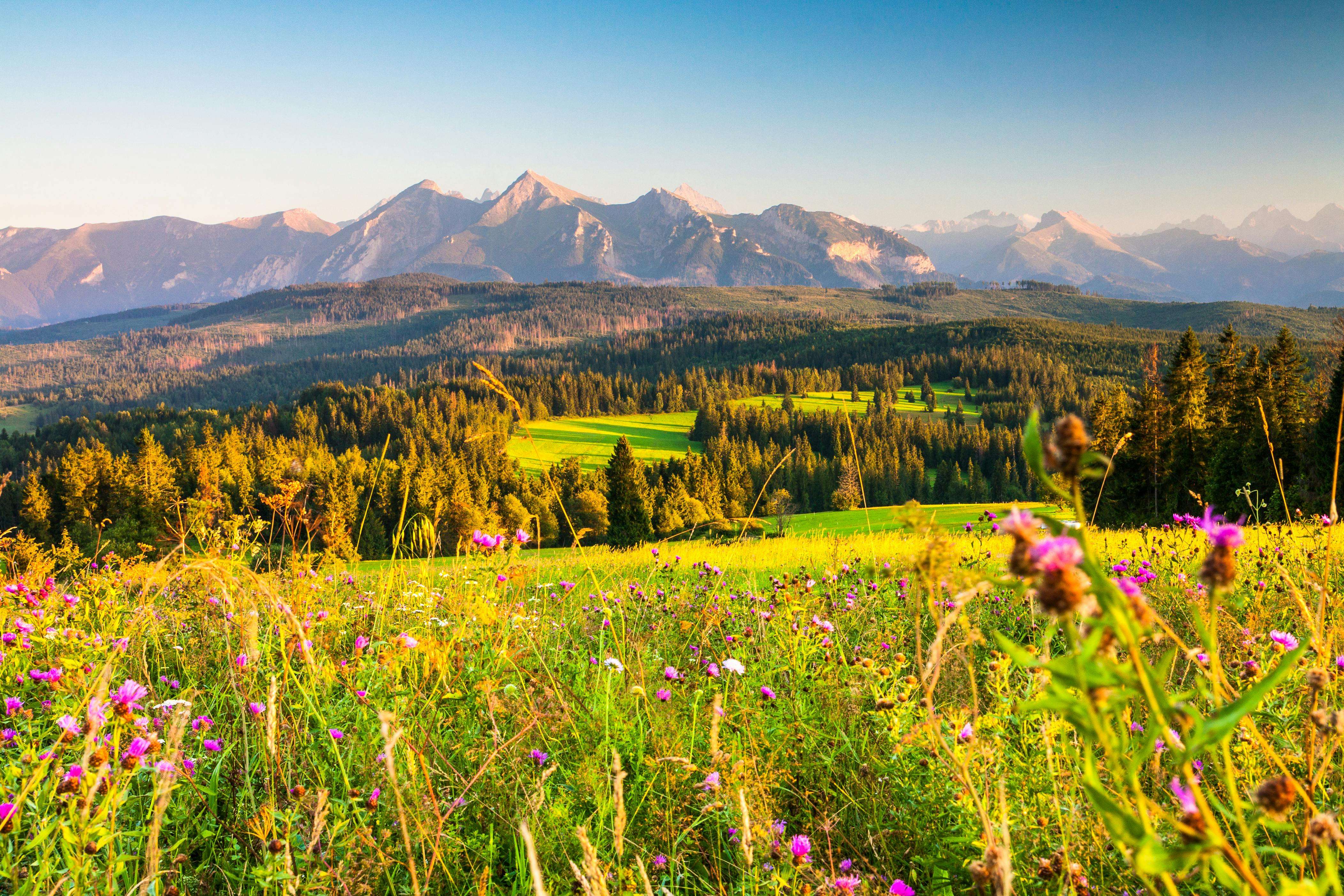 报价不再难：9个英文报价邮件模板，清晰专业促成交