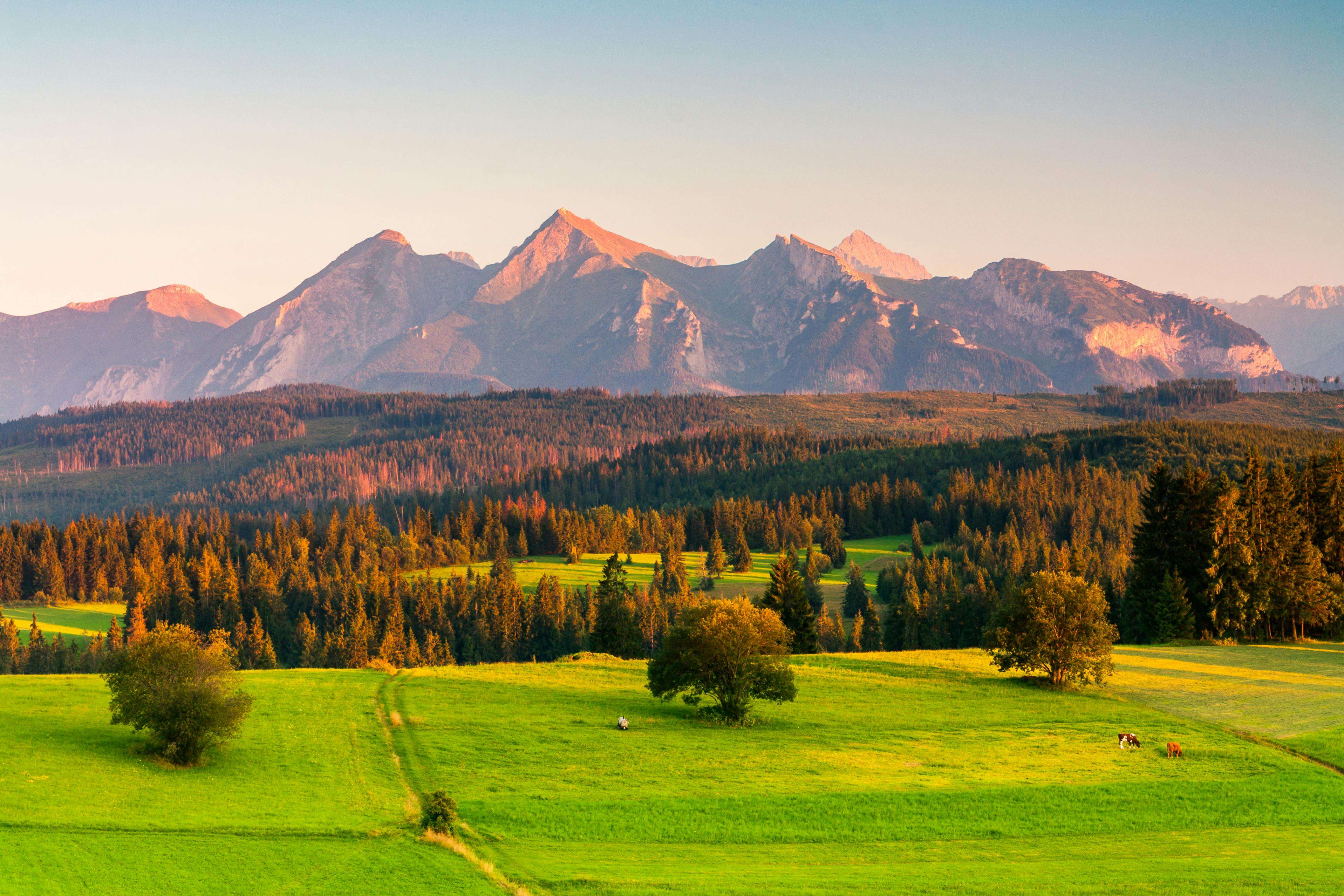 物流问题怎么写？8个英文物流沟通邮件模板帮你搞定客户焦虑