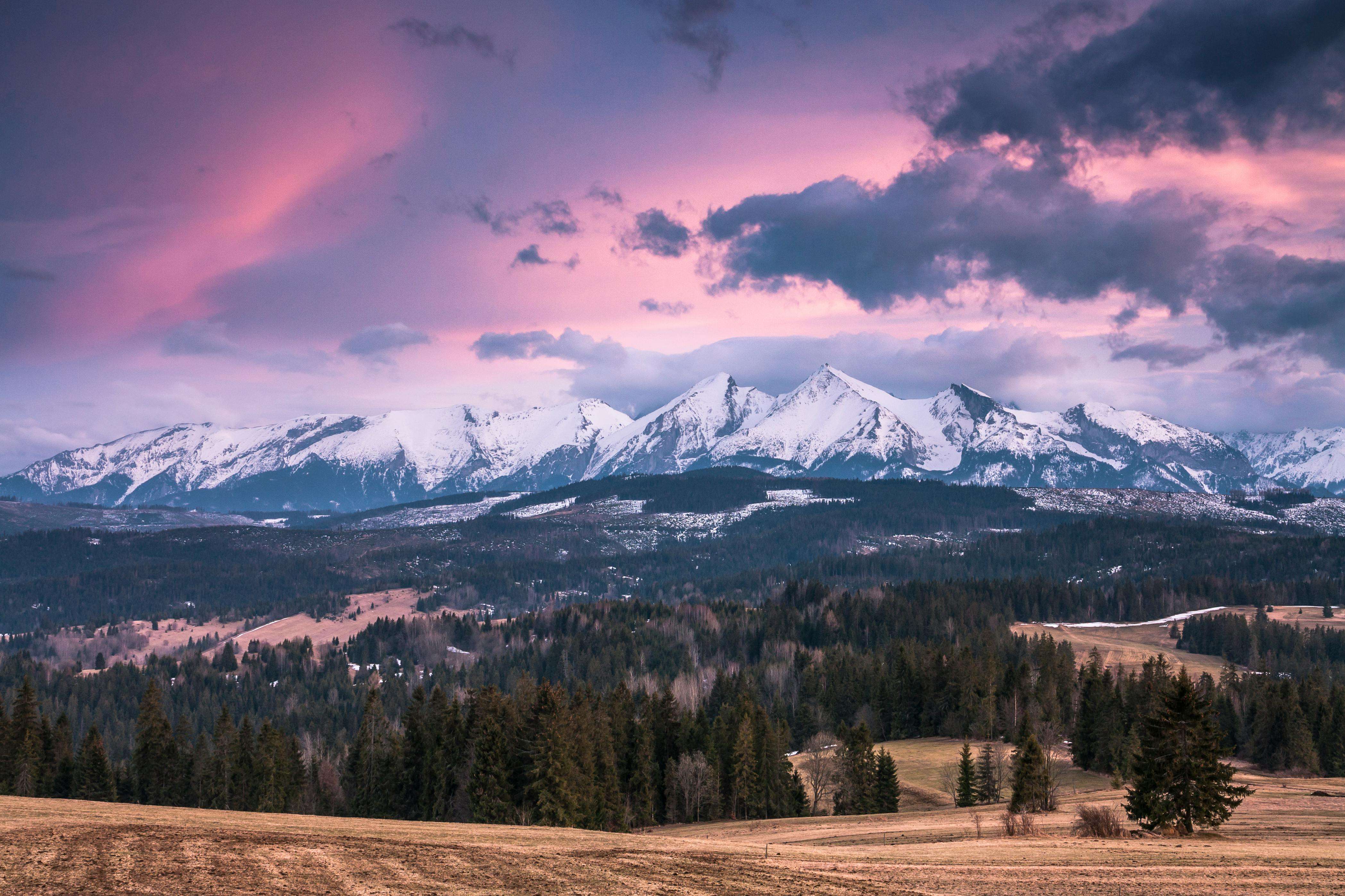 客户跟进有策略：10个英文客户维护邮件模板，提升复购率