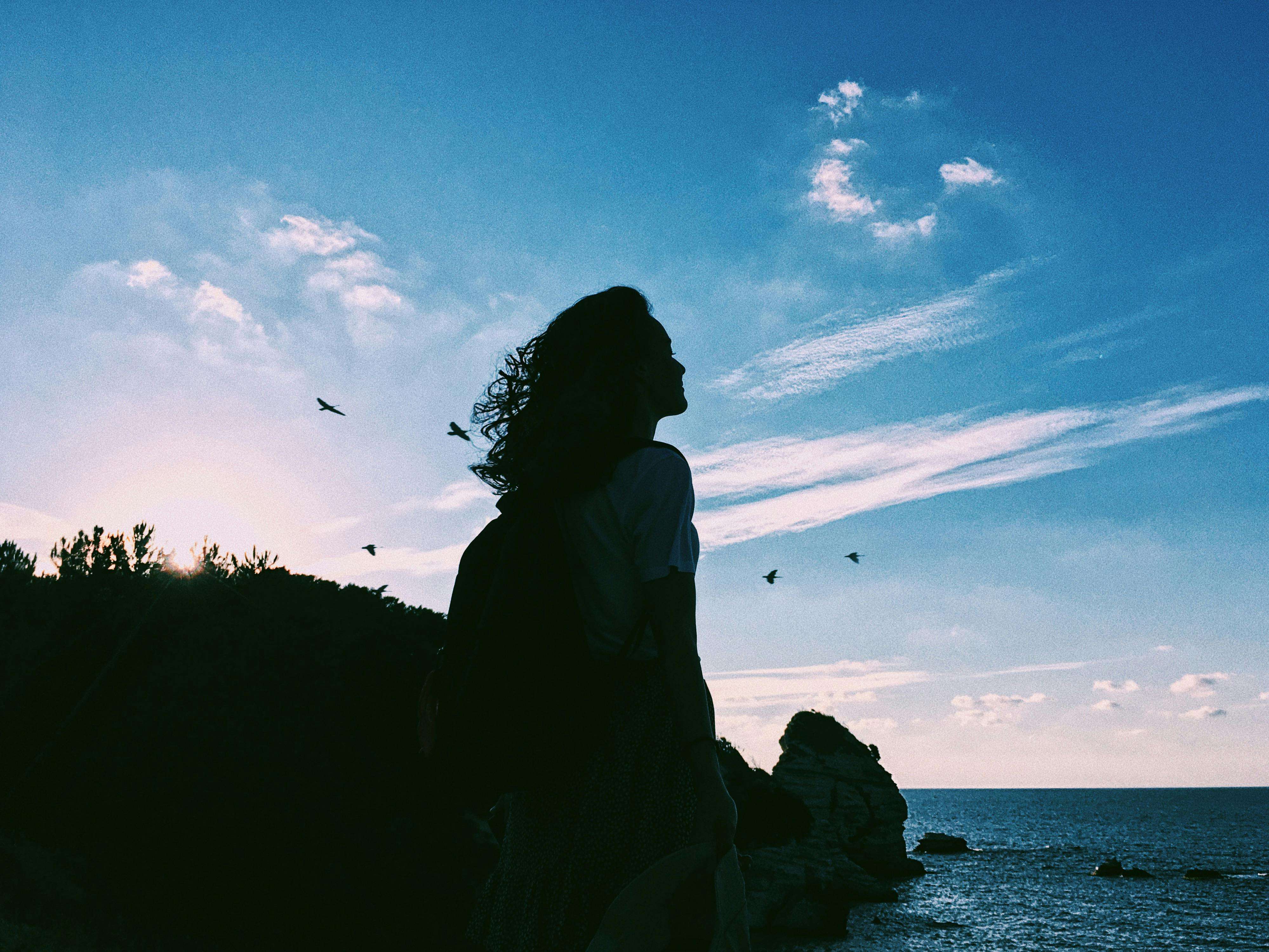 英语美文｜狄金森：我是无名之辈！你是谁？（I'm Nobody! Who are you?）