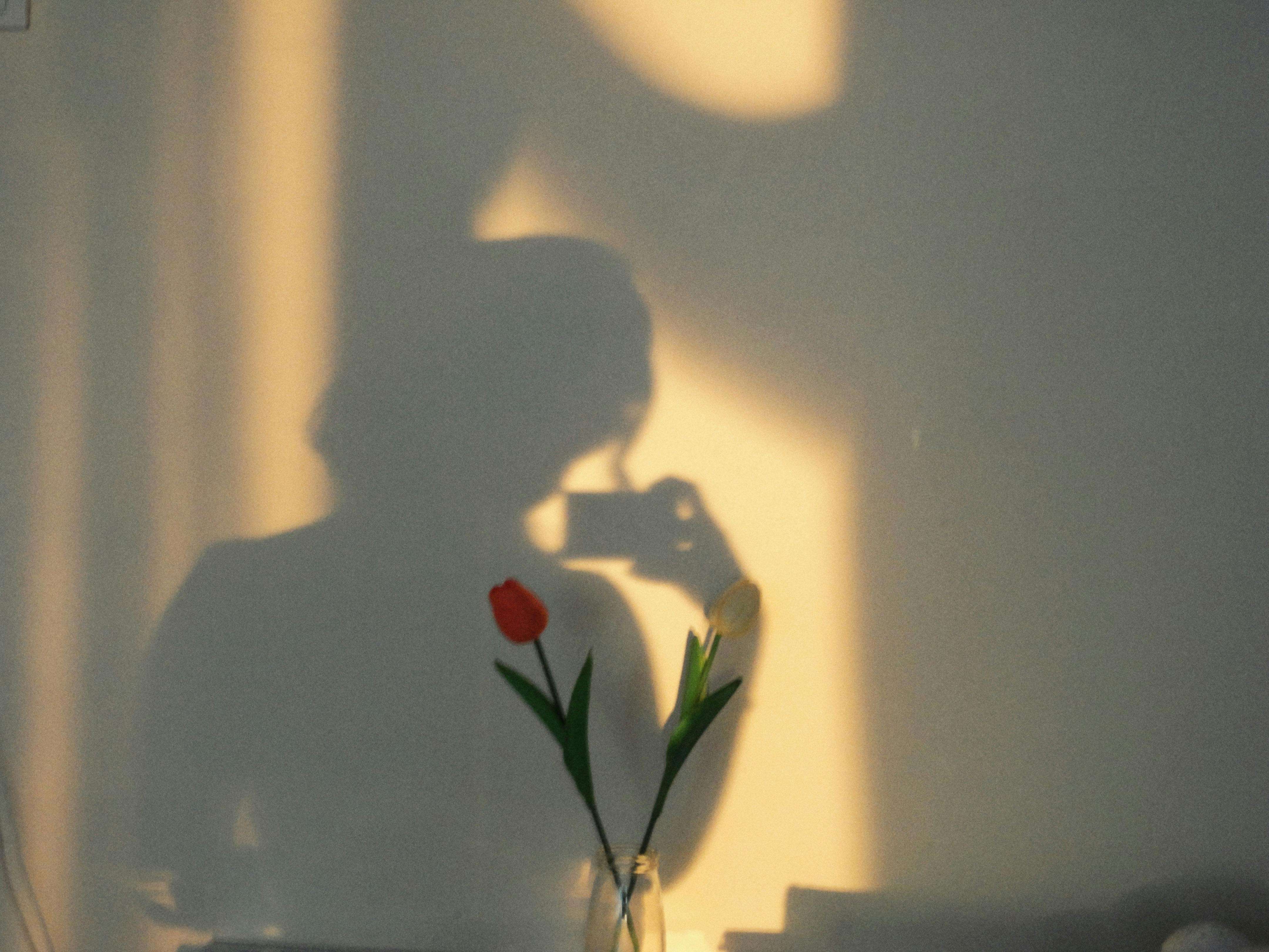 英语早读Day 11｜青春不是年华而是心境——塞缪尔·厄尔曼《青春》