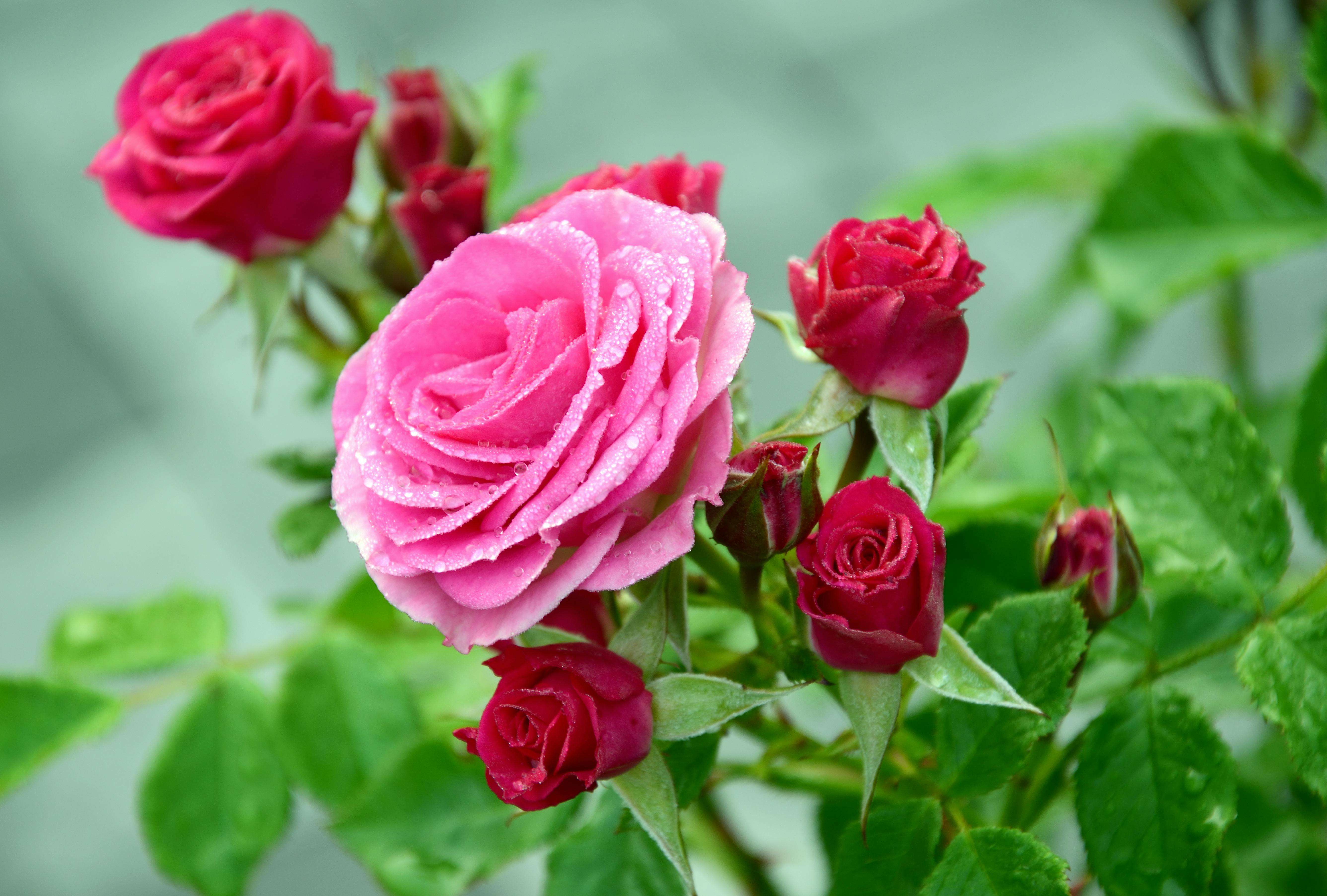 客户投诉怎么办？7个英文售后处理邮件模板教你专业应对