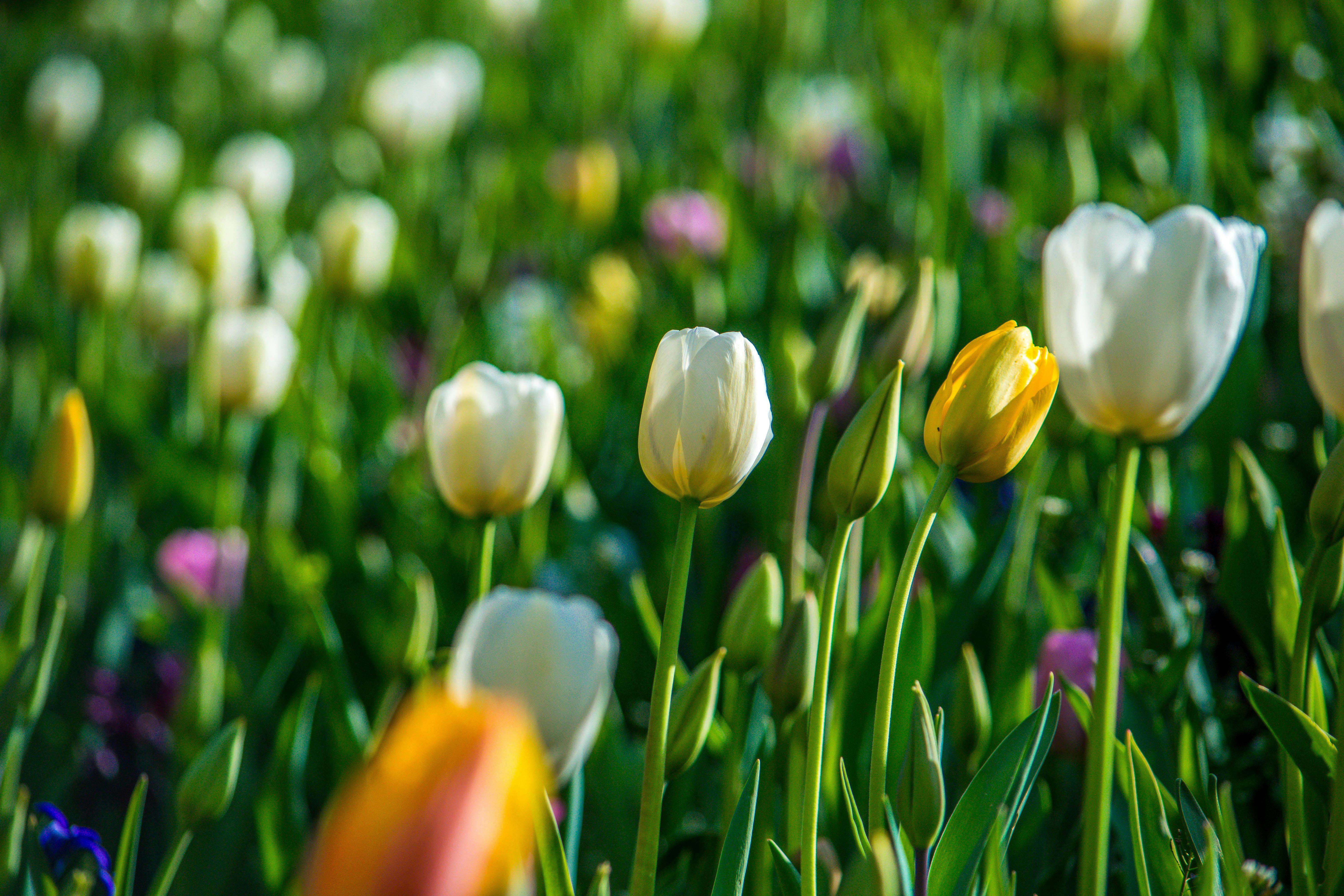 客户跟进不用愁：9个英文邮件模板助你提高转化率