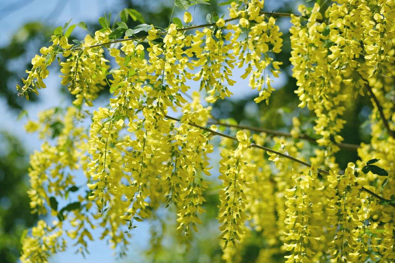 节日营销不落空：7个英文节日促销邮件模板 