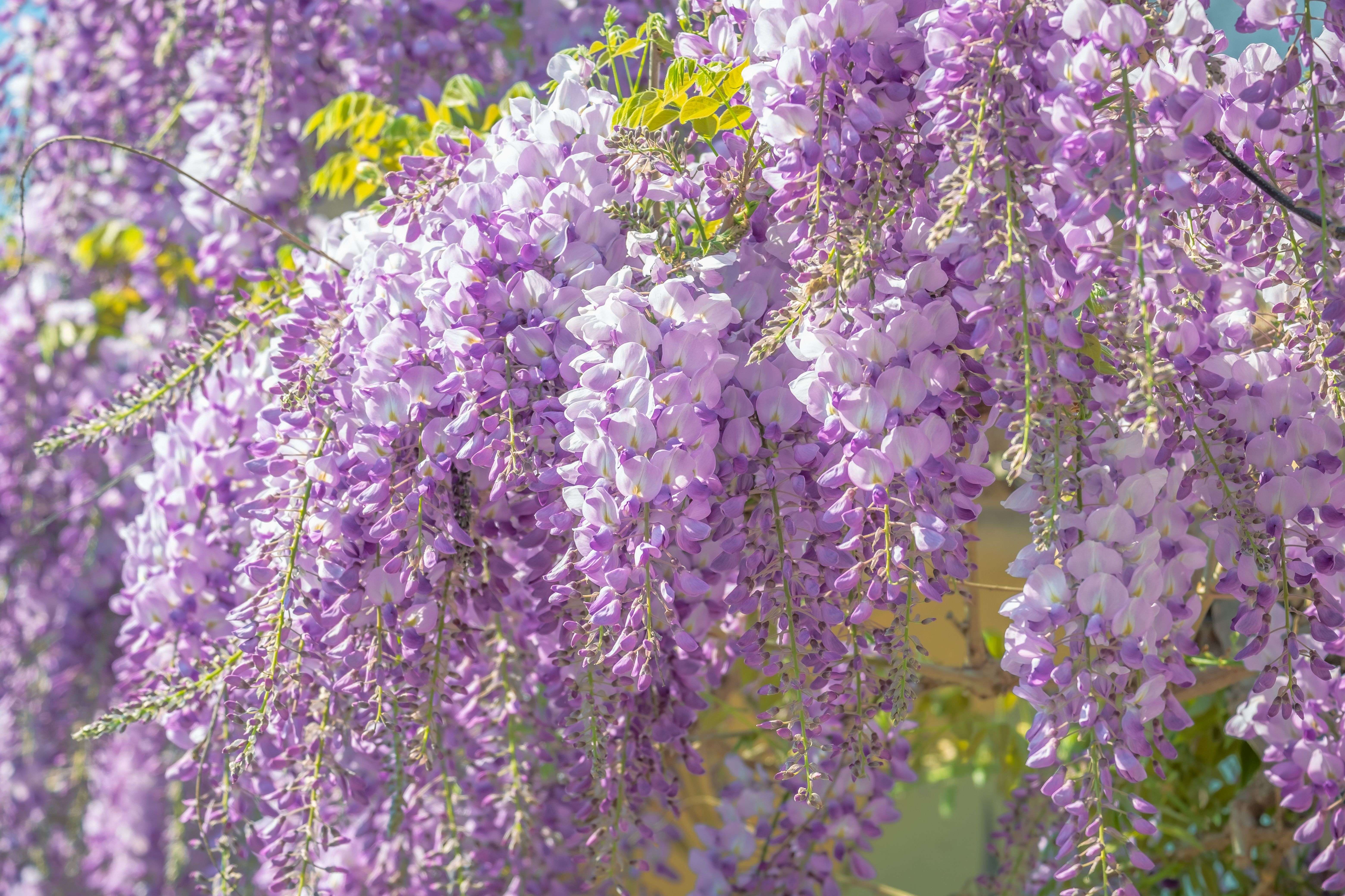 节日营销不抓瞎：6个英文节日促销邮件模板（附转化技巧）