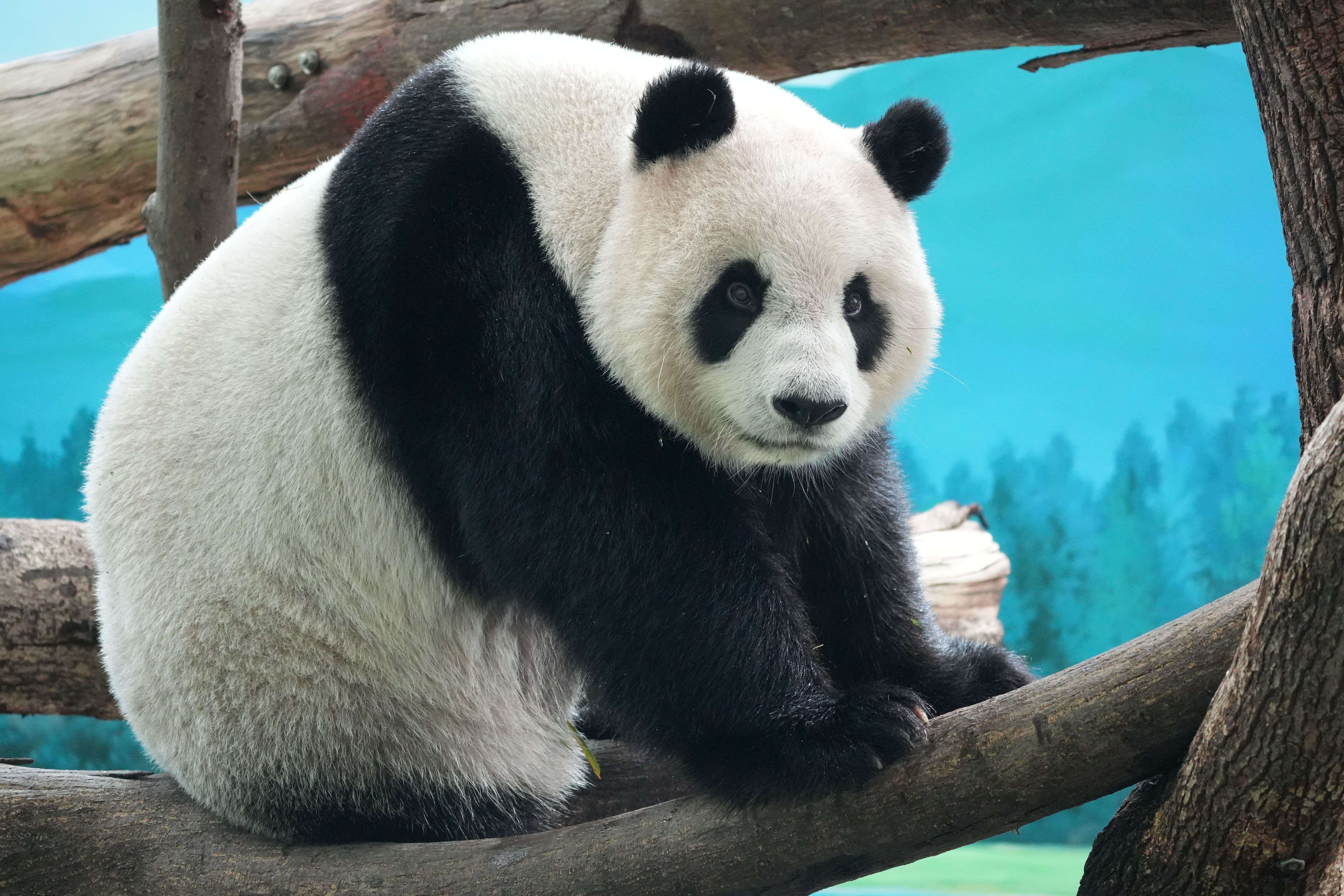 初中英语作文范文10篇：涵盖常考话题，助你轻松提分